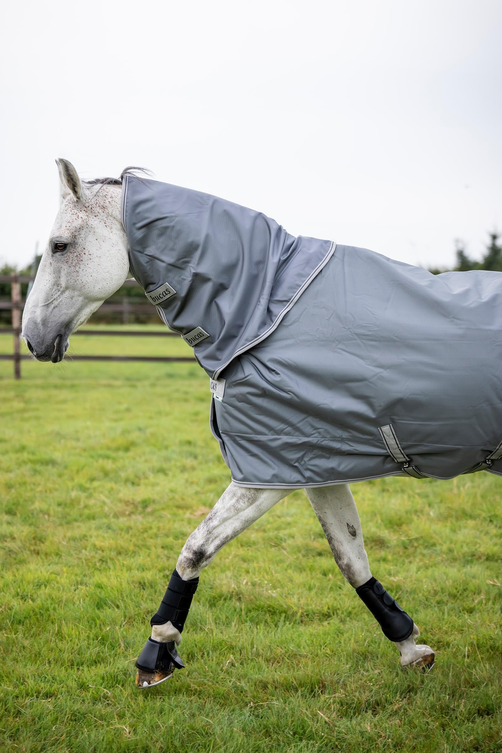 Bucas Smartex Combi Neck 300 Horse Rugs