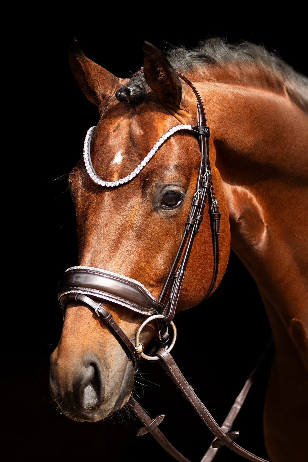Schockemöhle Sports Schockemöhle SP Luxury Dressage Bridle Bridles & Reins