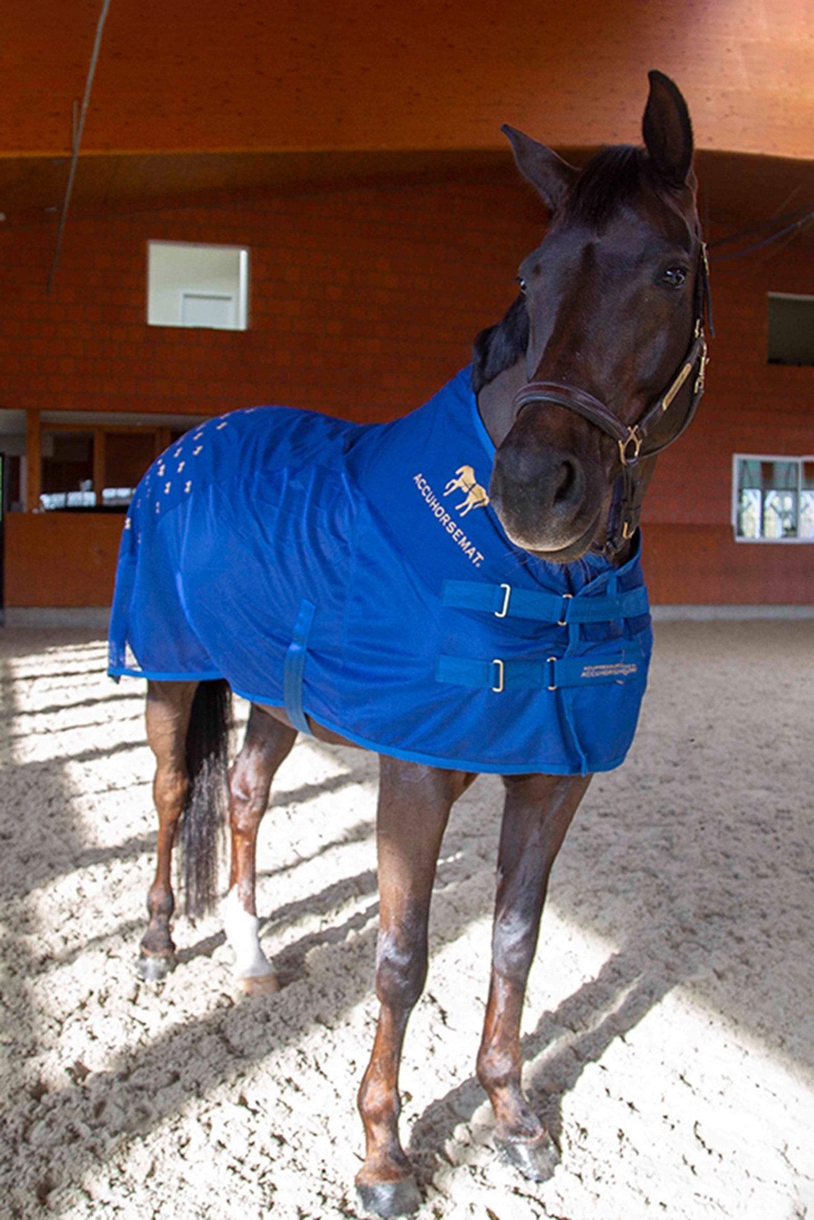 Accuhorsemat Cooler Pferdedecken
