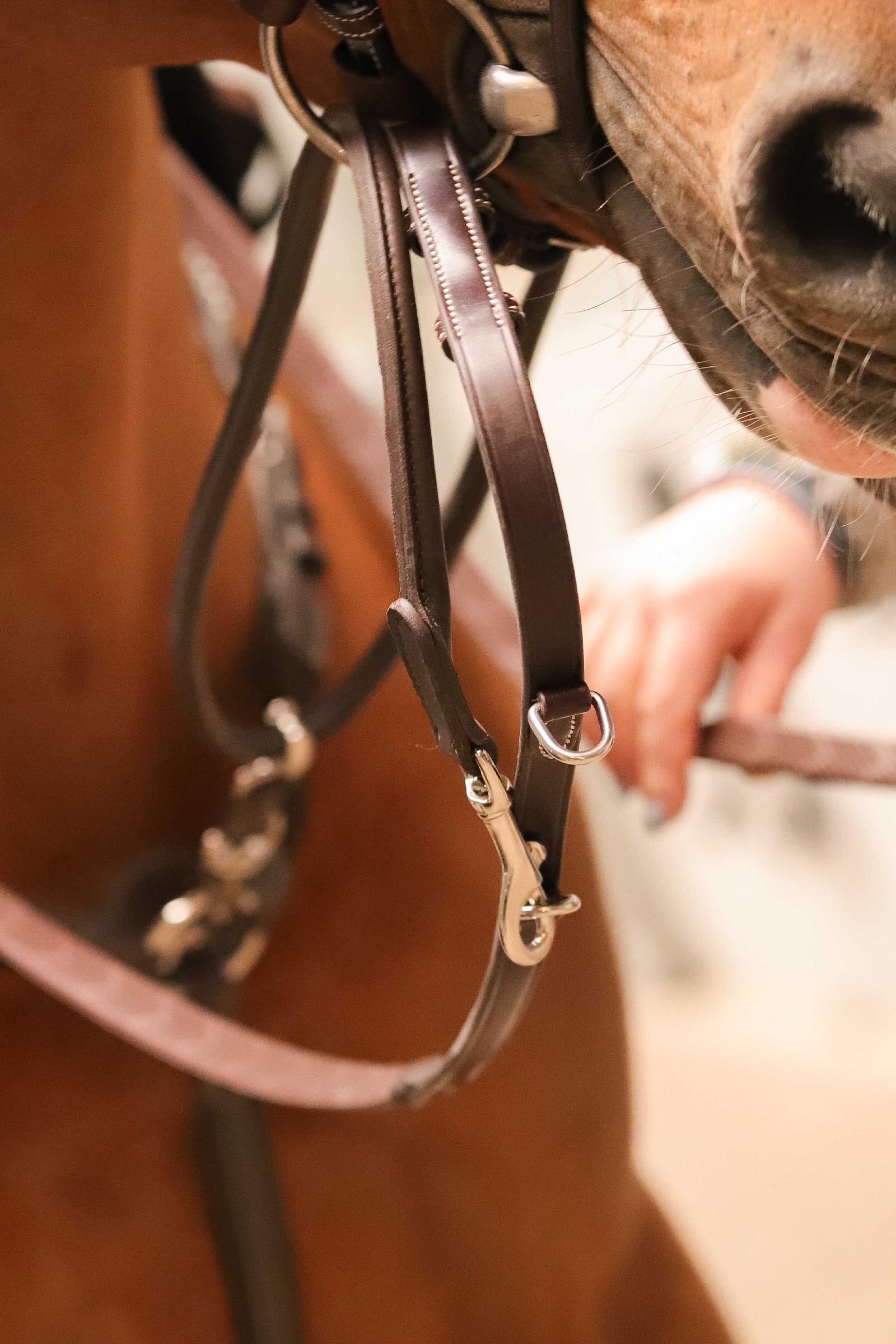 PENELOPE Howlett Training Aid Bridles & Reins