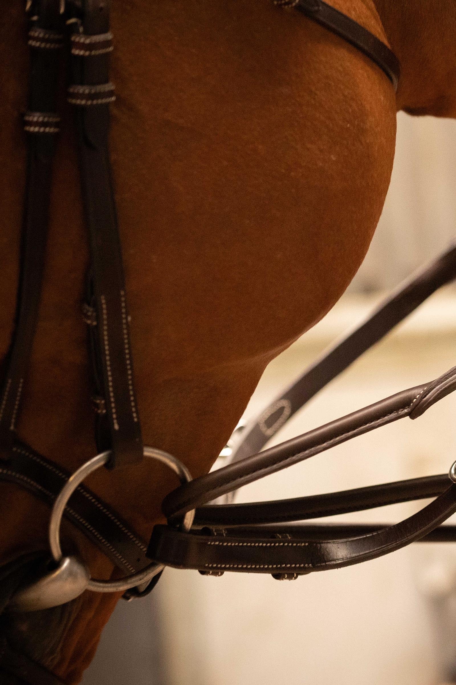 PENELOPE Howlett Training Aid Bridles & Reins