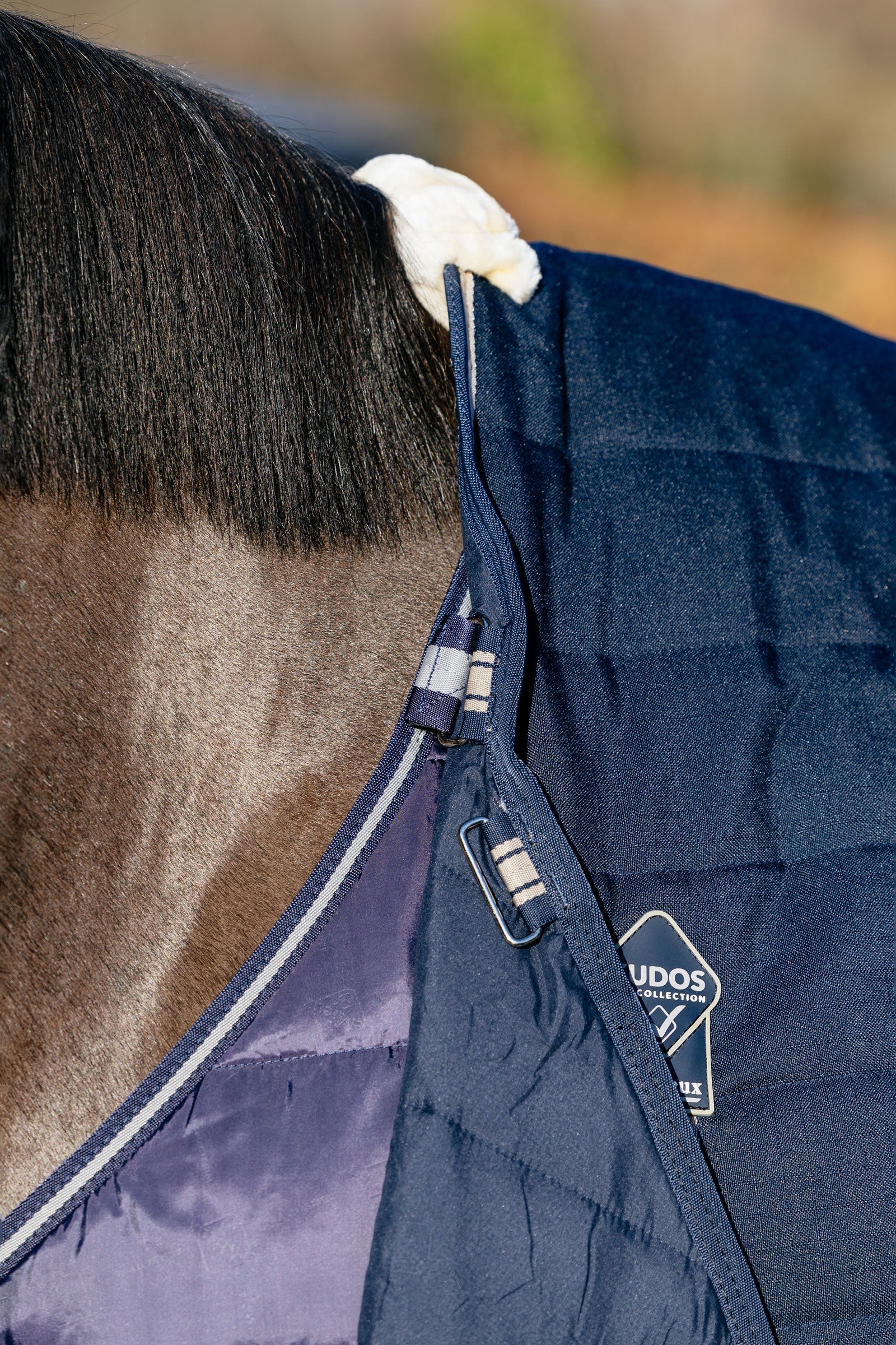 LeMieux Rug Liner, 200g Horse Rugs