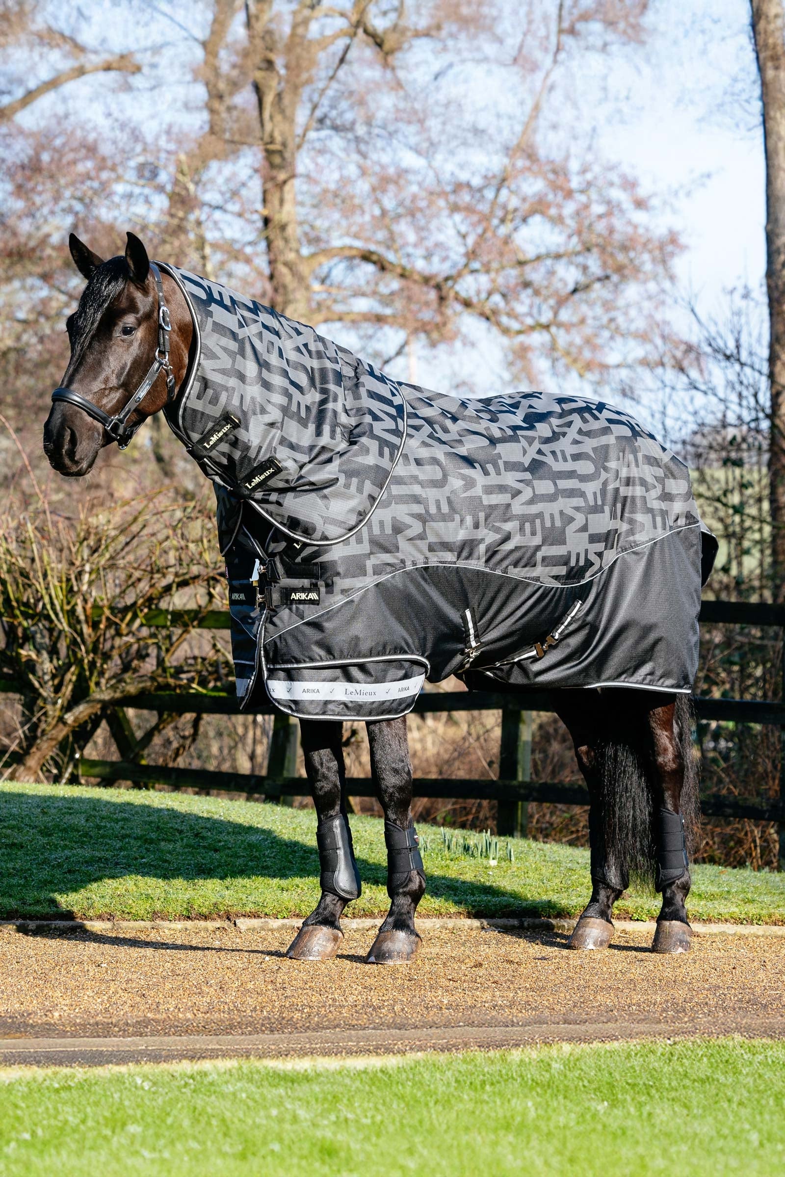 LeMieux Arika Reflective Turnout Rug With Detachable Neck, 100 g Horse Rugs
