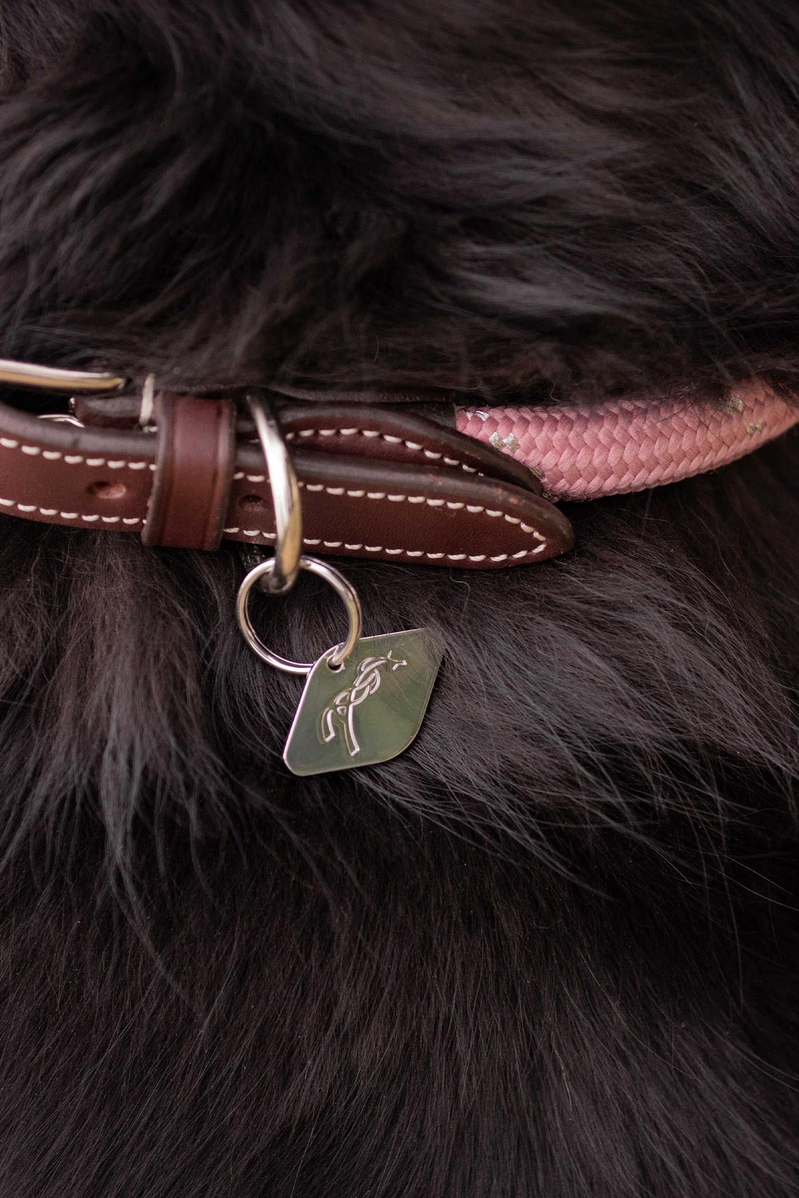 PENELOPE Billie Dog Collar Dog Accesories
