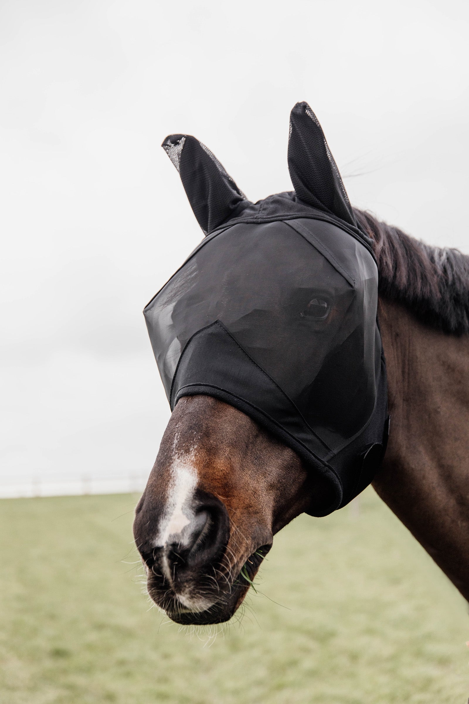 Kentucky Horsewear Classic Fliegenmaske mit Ohren Fliegenschutz