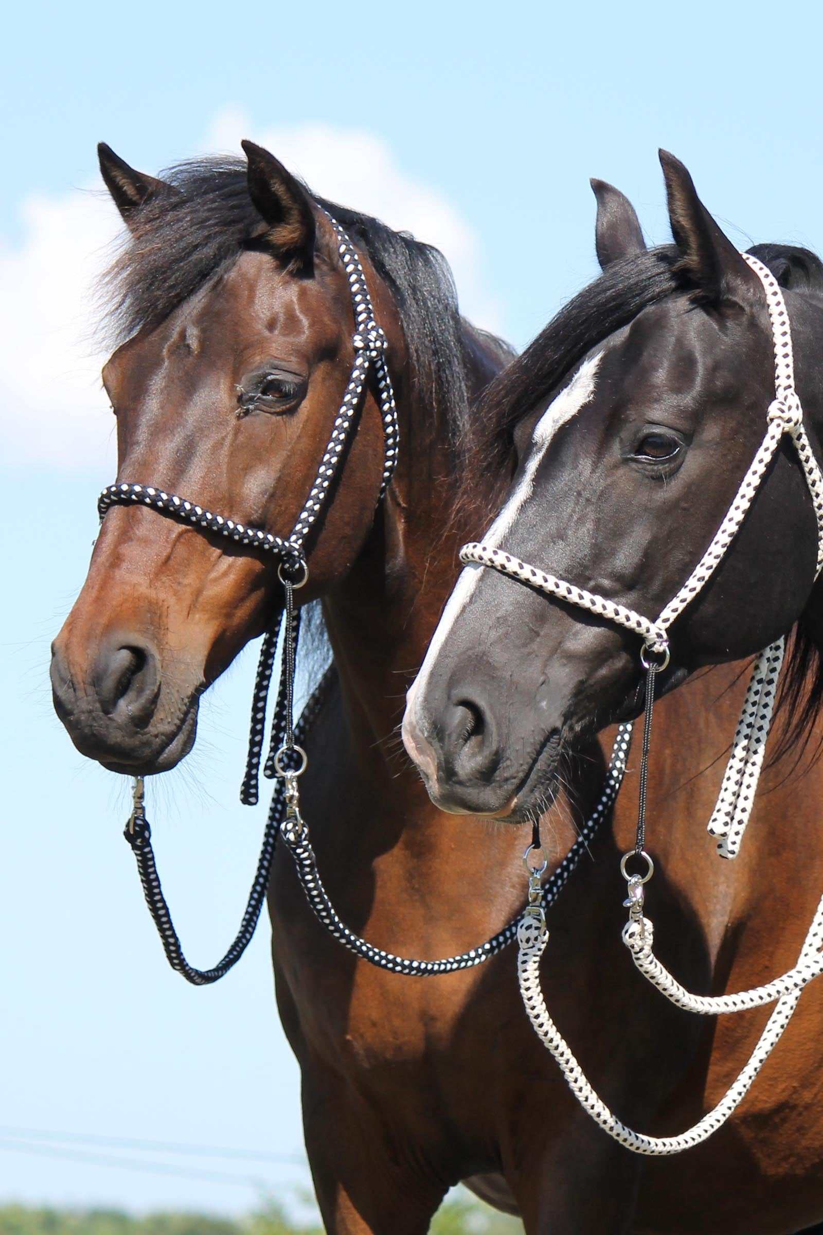 F.R.A. Freedom Riding Articles Nanouk Bitless Bridle (System 4) Cotton w/ Clip Reins Bridles & Reins
