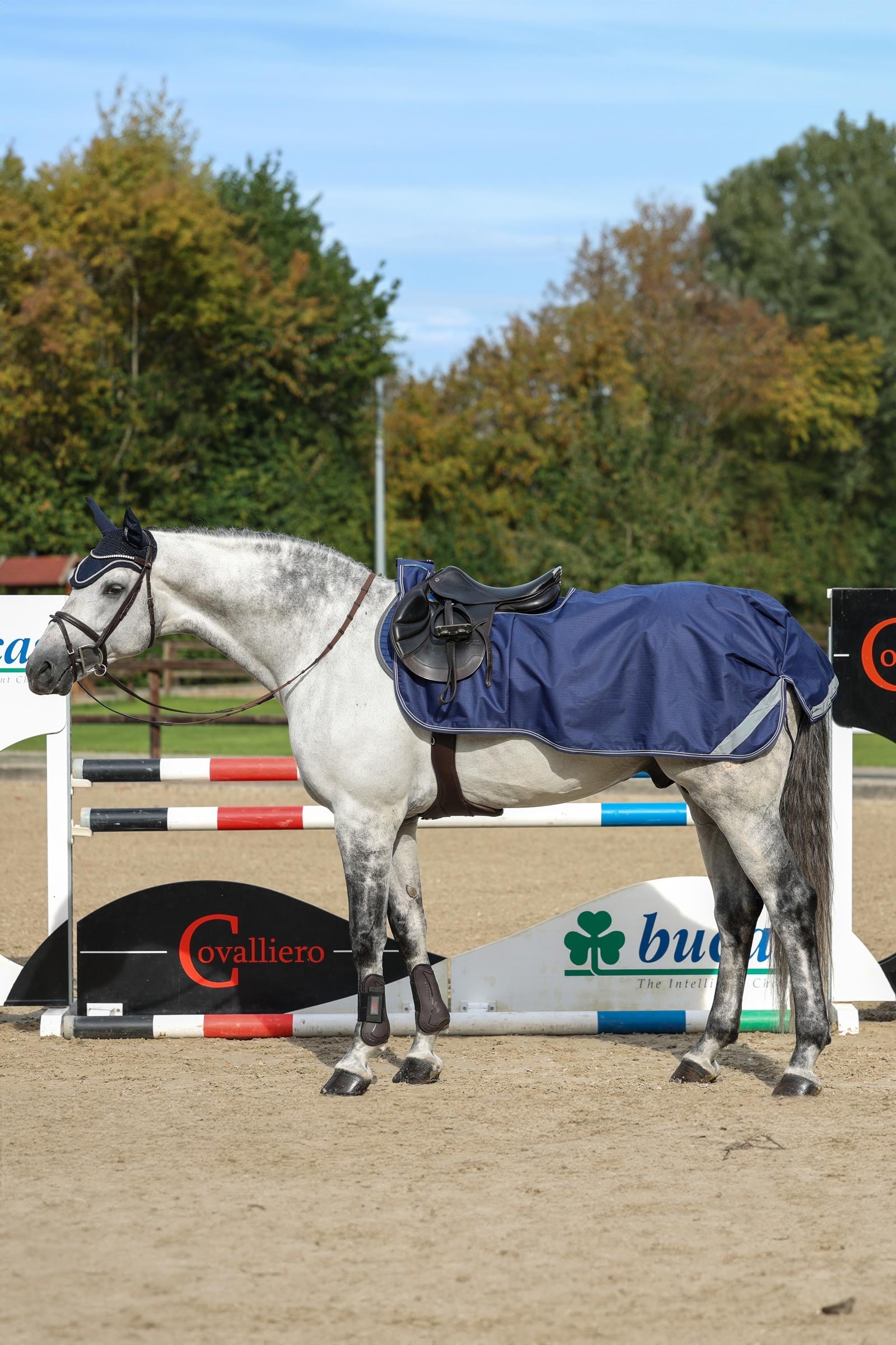 Bucas Riding Rug Horse Rugs