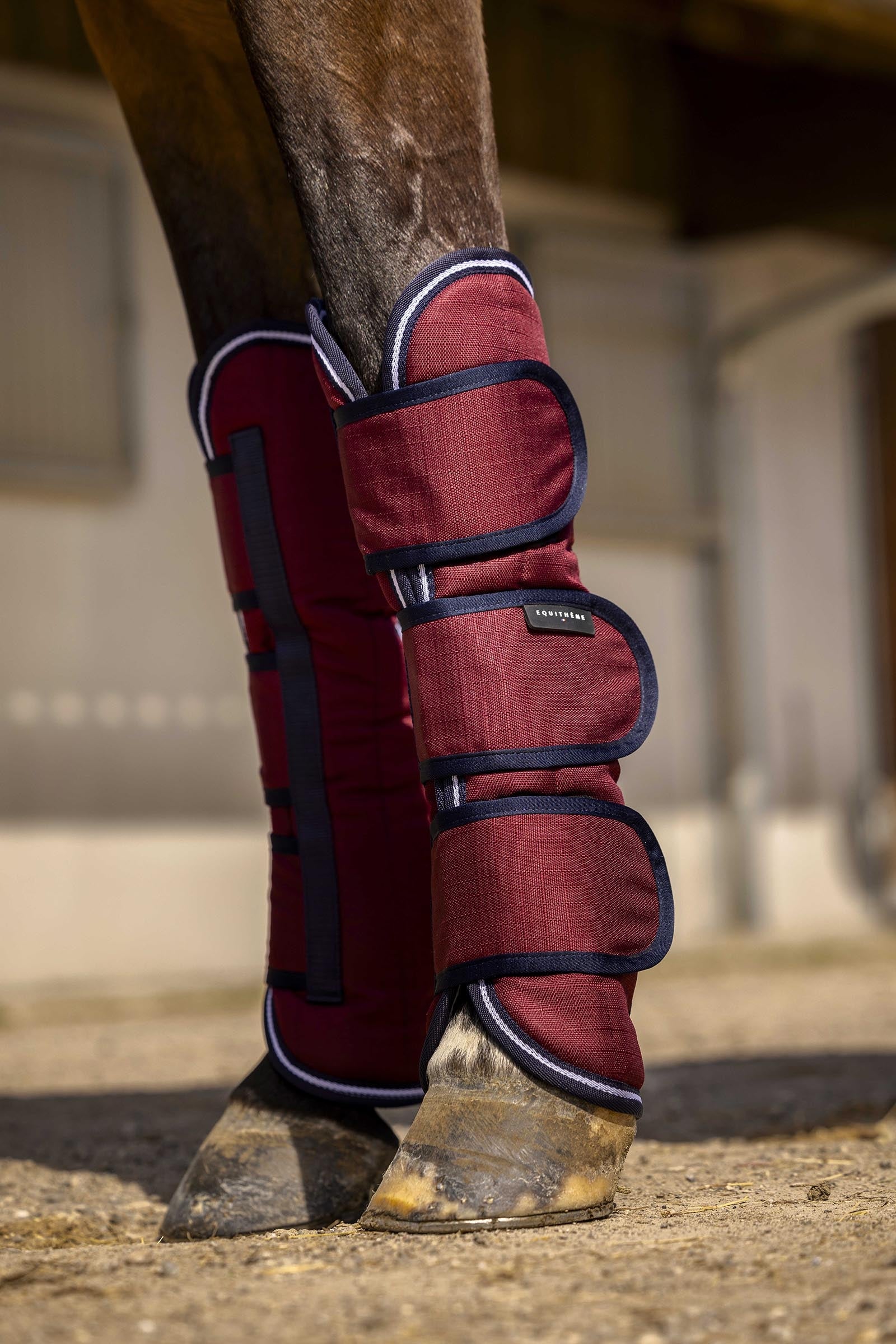 Equi Theme EQUITHÈME TYREX Aisance 1200D Transportgamaschen Leg & Hoof Protection