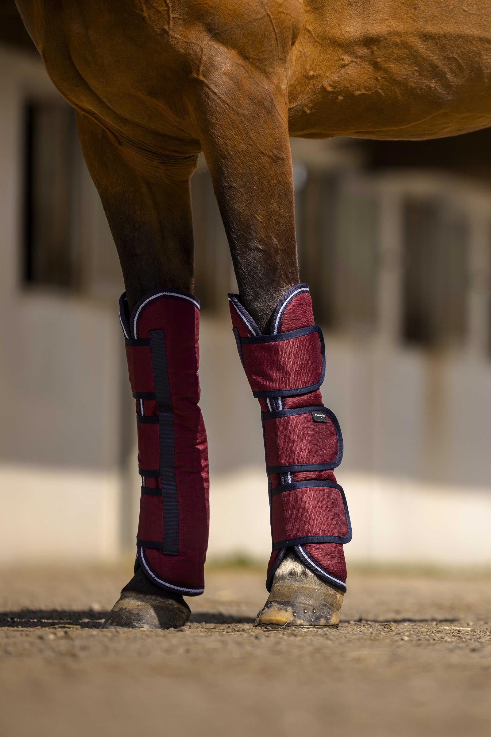 Equi Theme EQUITHÈME TYREX Aisance 1200D Transport Boots Leg & Hoof Protection