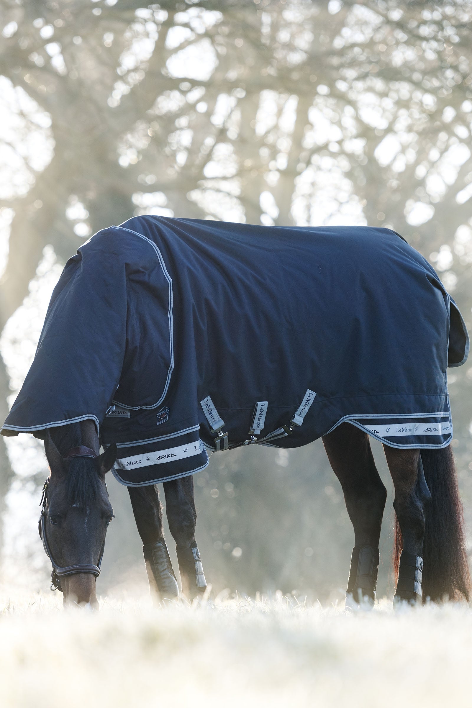 LeMieux Arika Storm-Tek 350g Horse Rugs