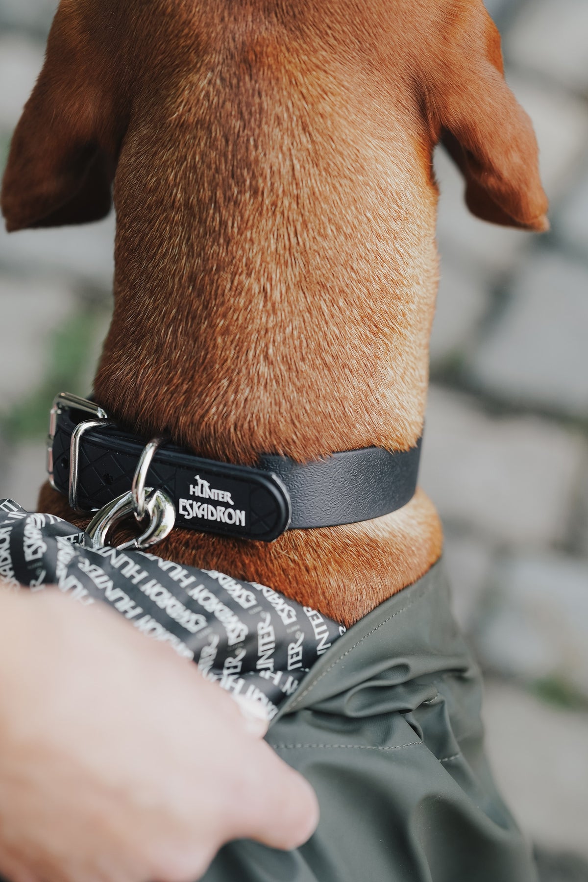 Eskadron Hunter x ESKADRON SPARK Dog Collar Dog Accesories