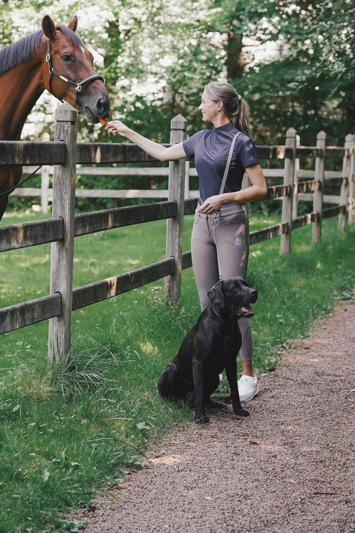 Eskadron Hunter x ESKADRON SPARK Dog Collar Dog Accesories