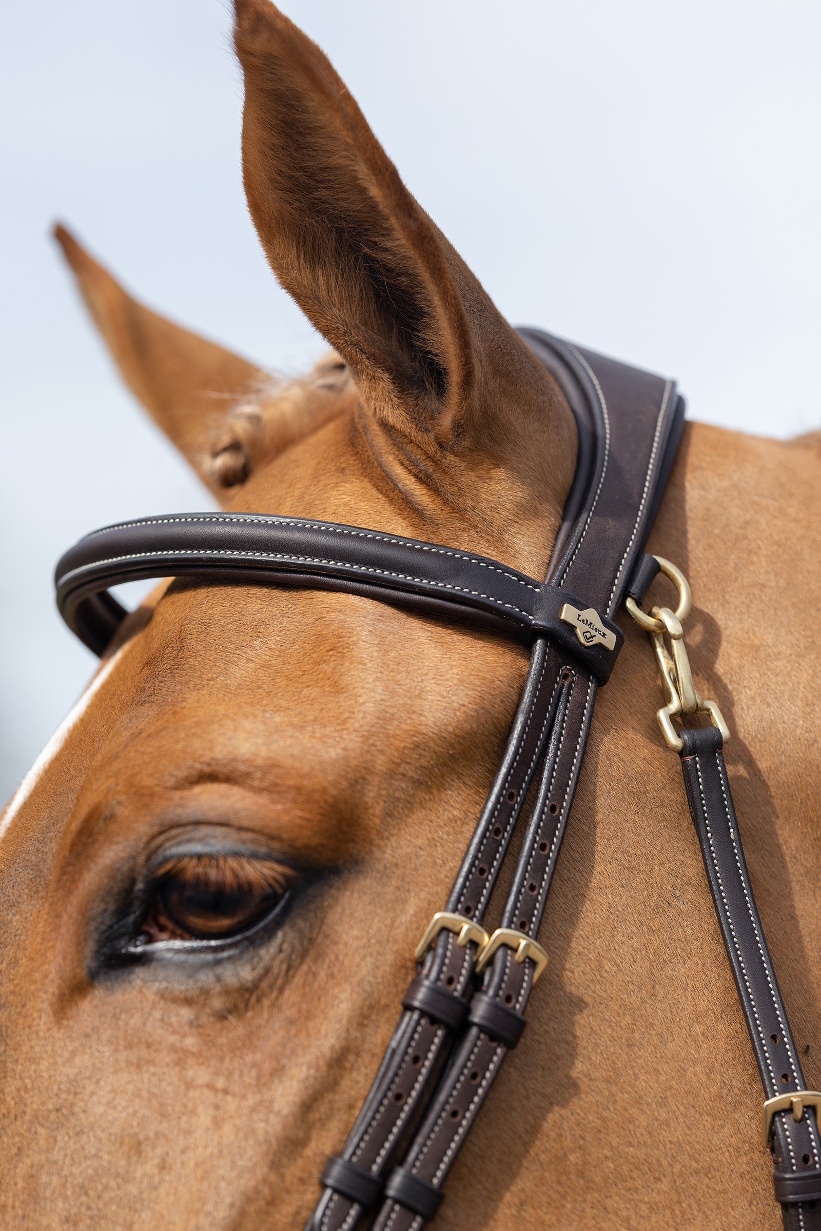 LeMieux Kudos Work Bridle Bridles & Reins