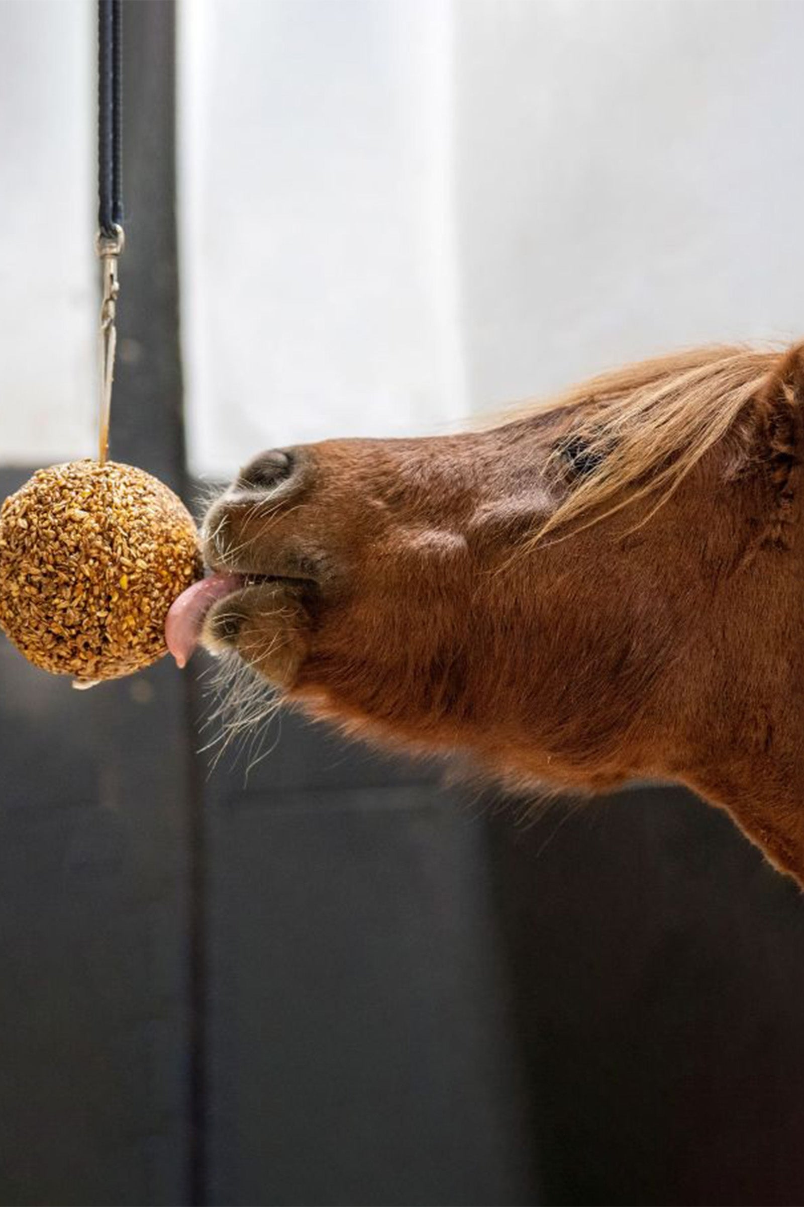 Likit cereal ball, 1.6 kg Horse Feed & Nutrition