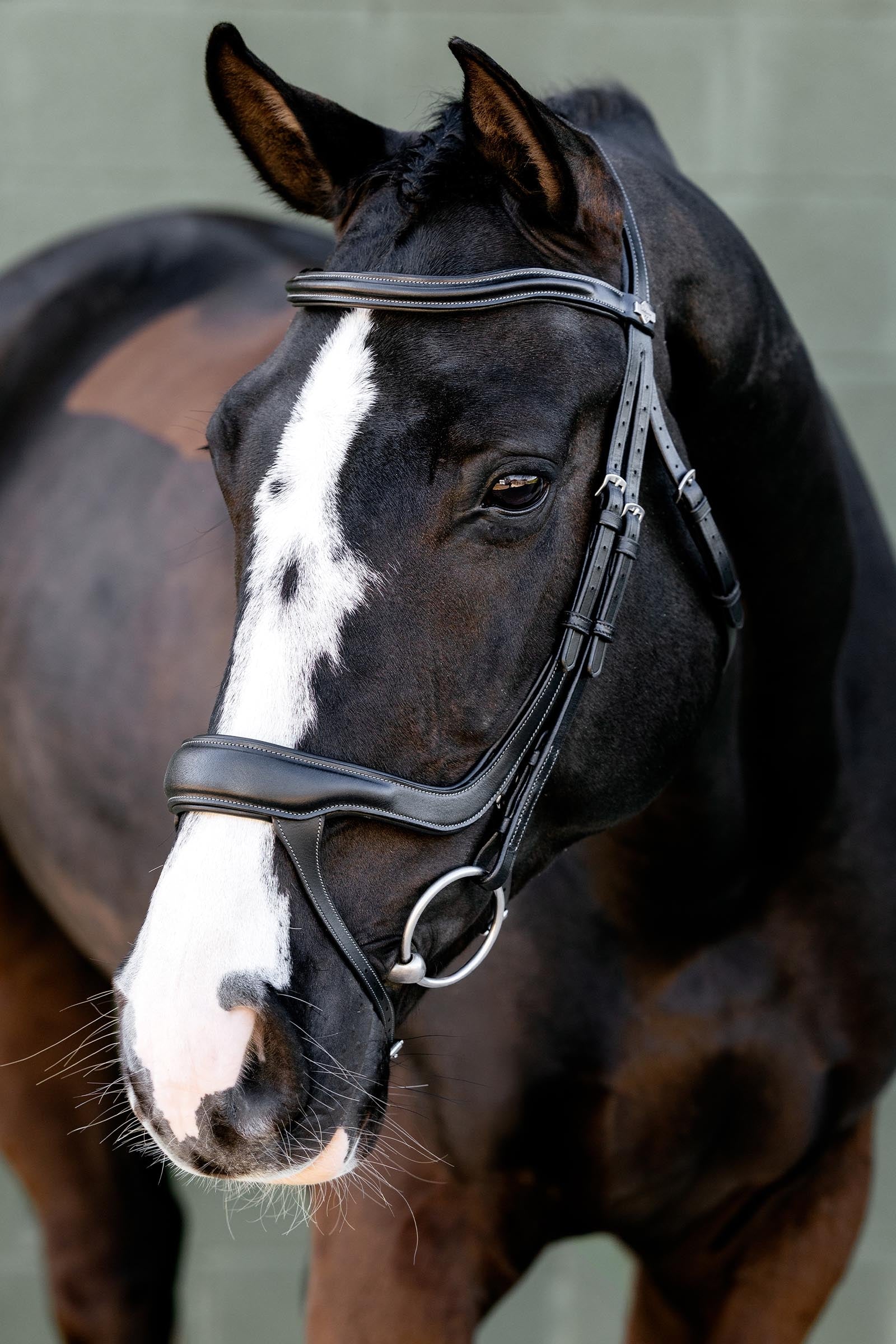 LeMieux Arika Split Noseband Bridle Bridles & Reins