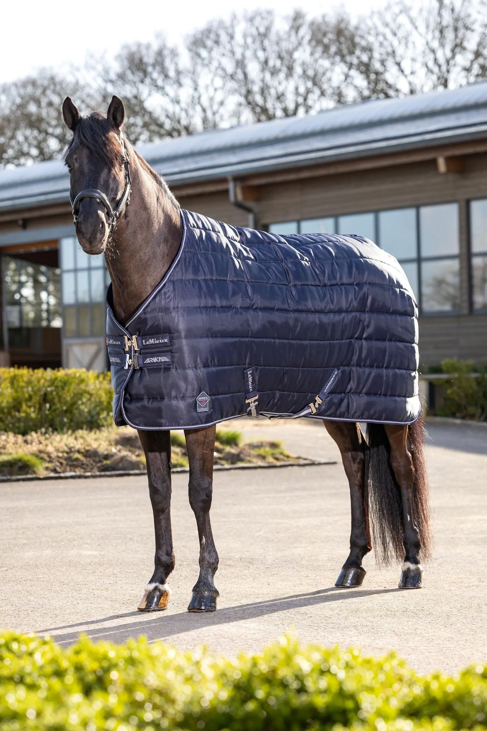 LeMieux Arika Stable-Tek Stable Rug, 200 g Pferdedecken