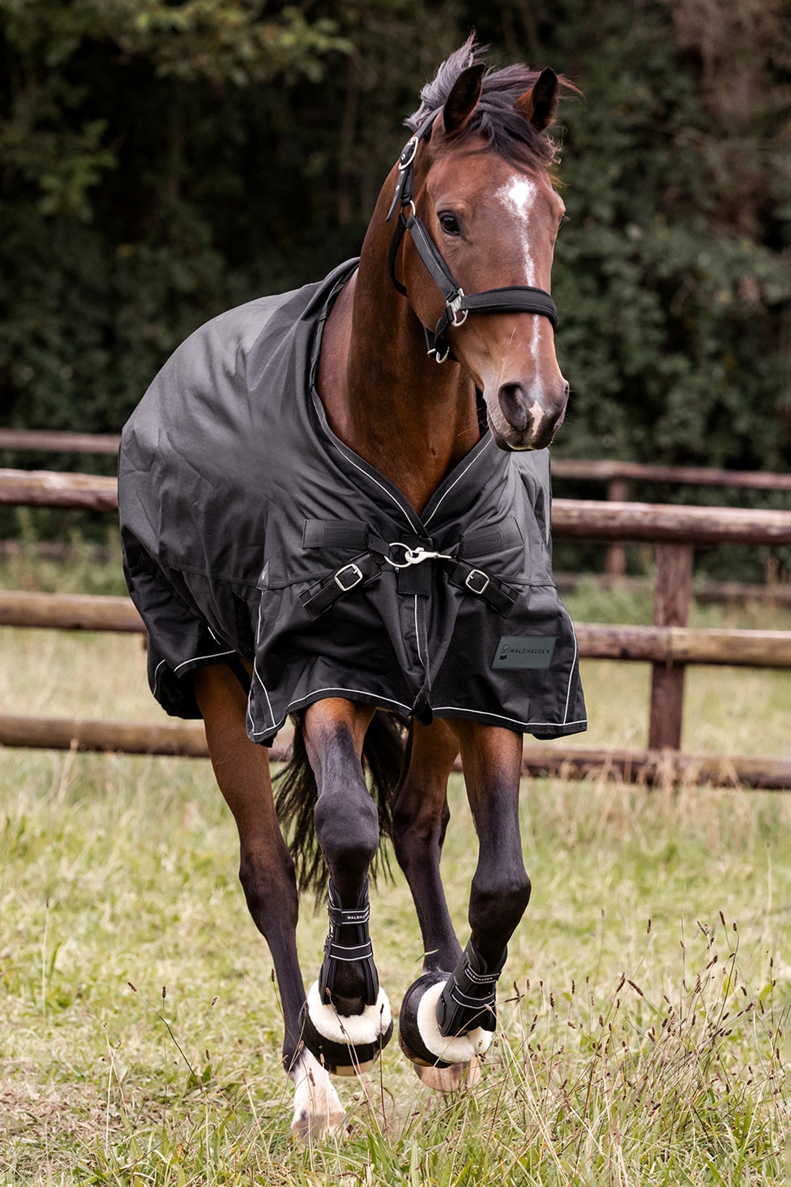 Waldhausen Outdoor Rug Scandic Light Horse Rugs