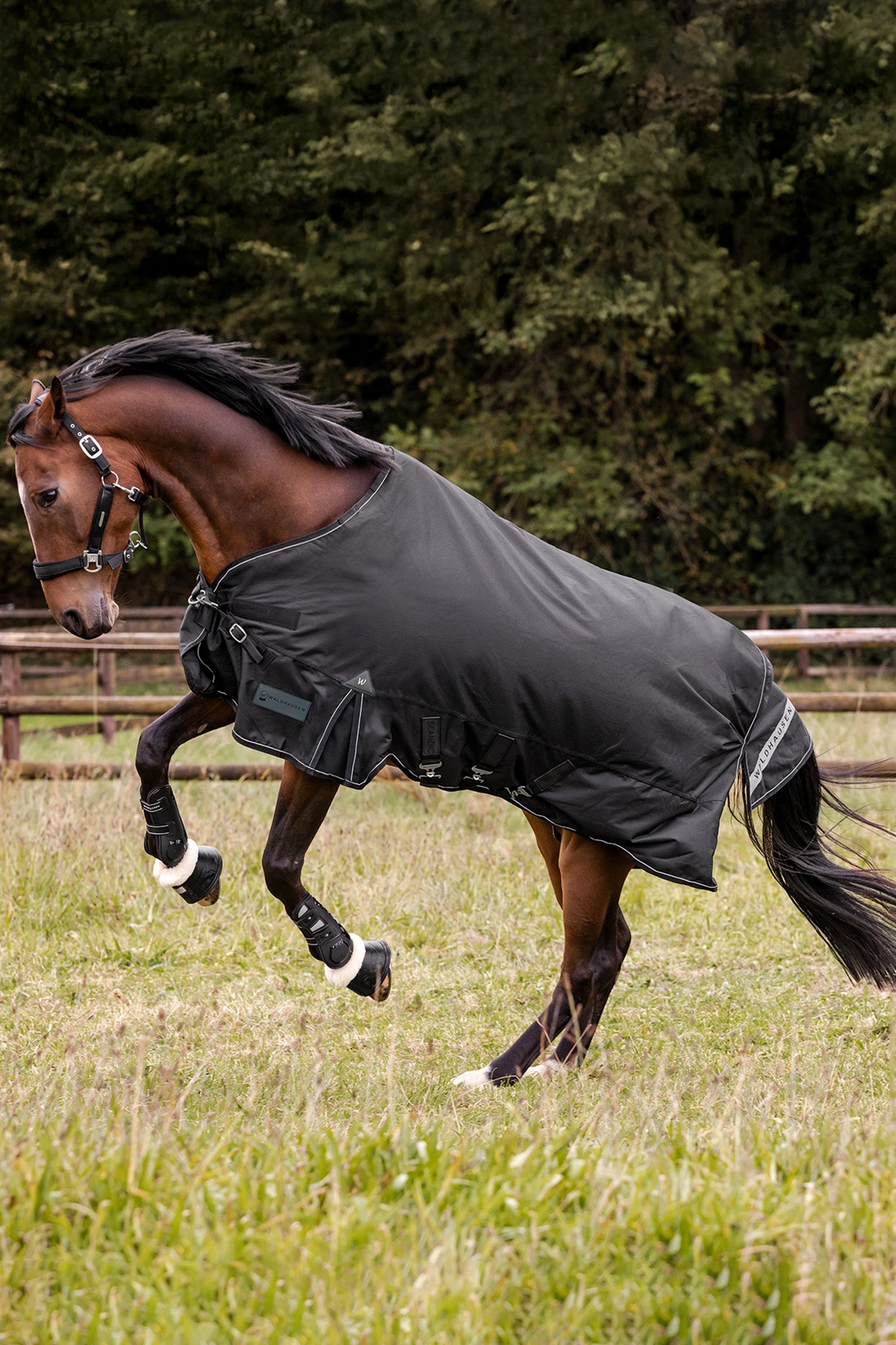 Waldhausen Outdoor Rug Scandic Light Horse Rugs