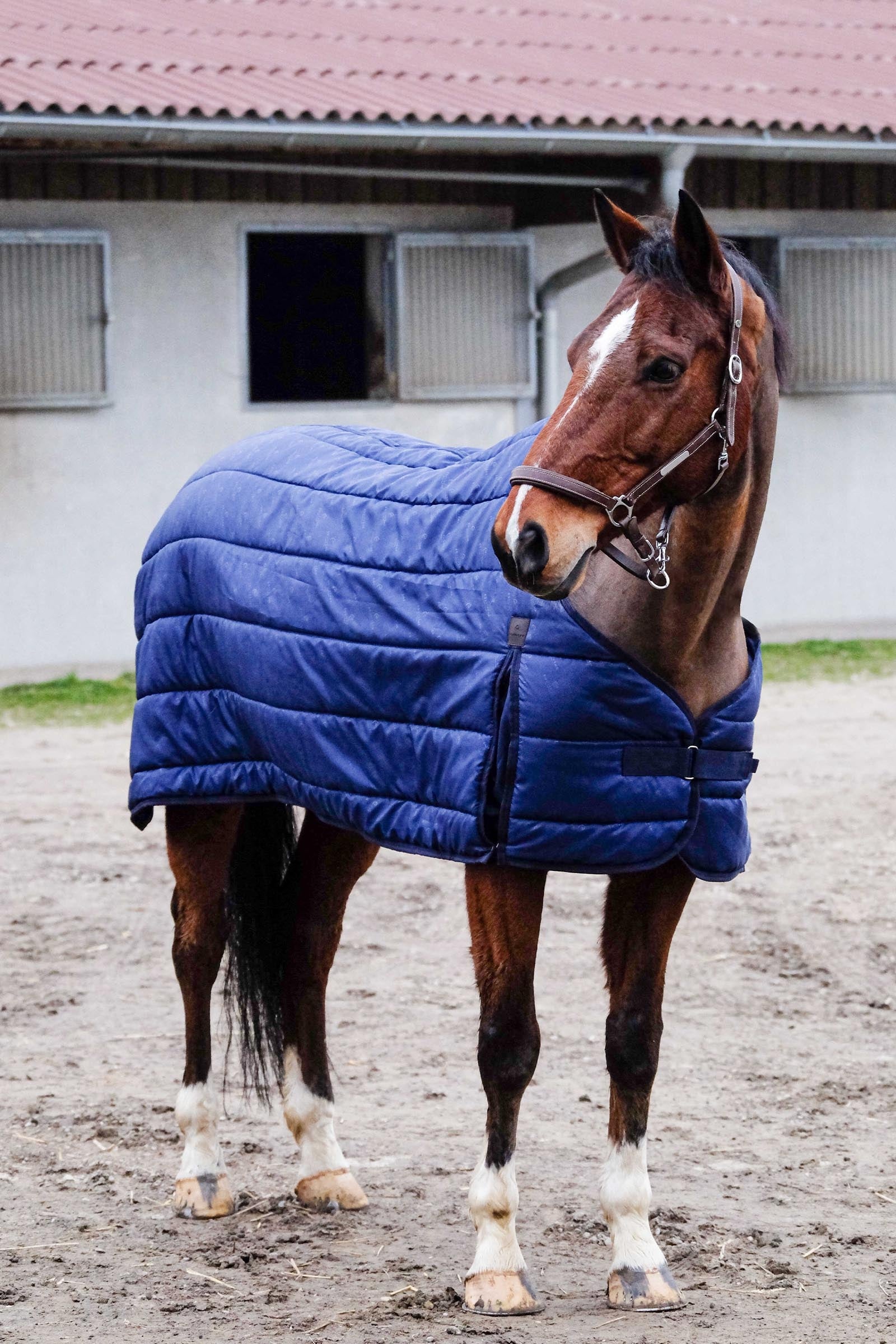 EQUITHÈME Classic Unterdecke, 200 g Pferdedecken