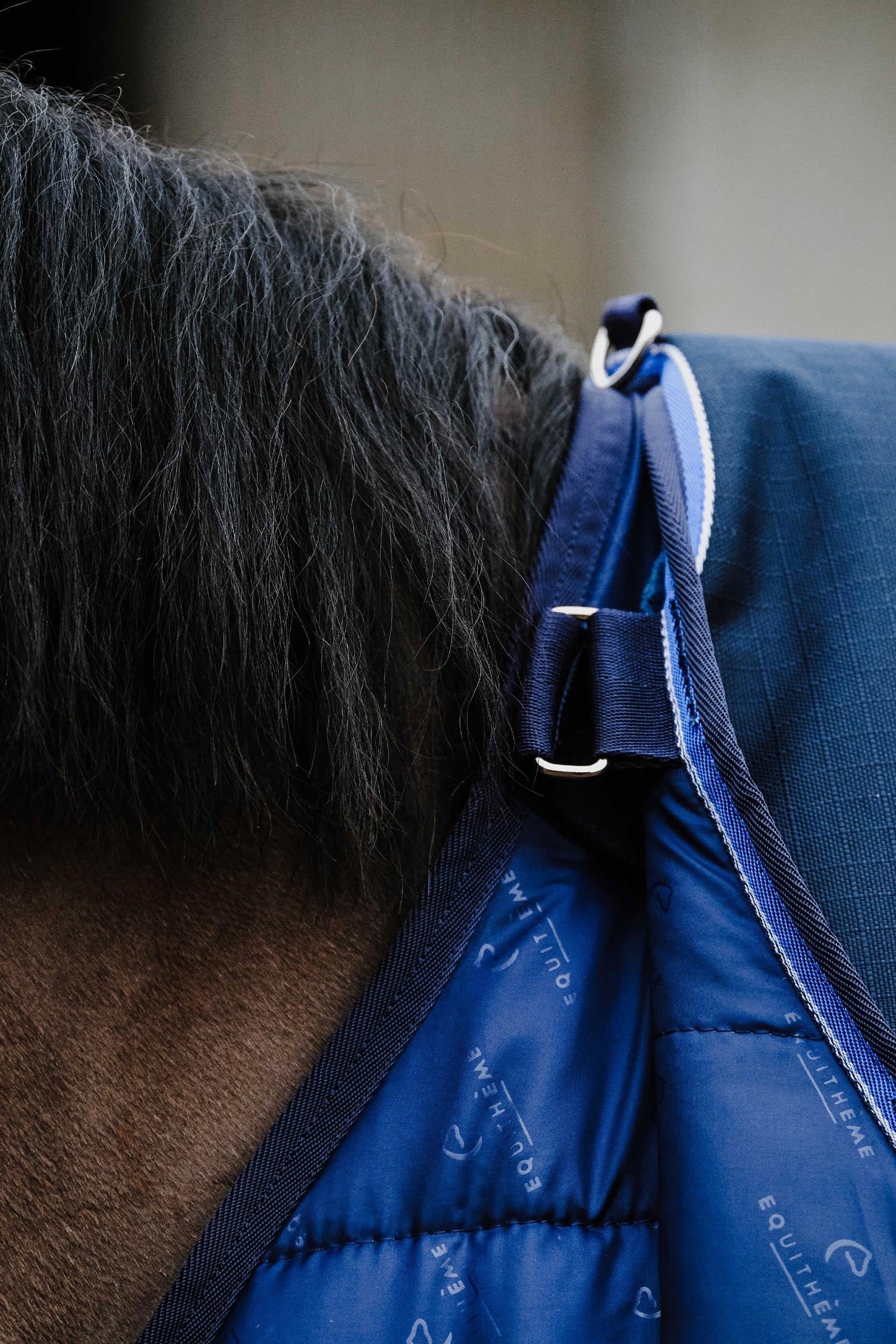 EQUITHÈME Classic Under Rug, 200 g Horse Rugs