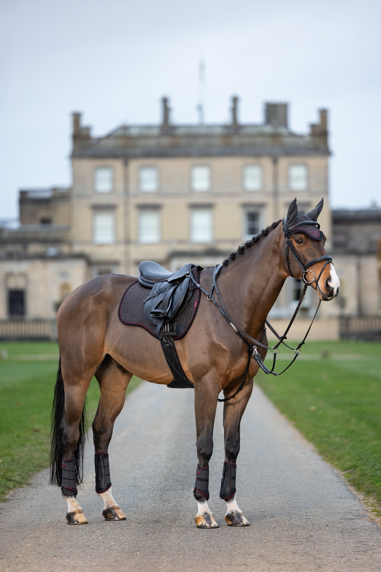 LeMieux Classic Fly Hood Antifly Protection for Horses