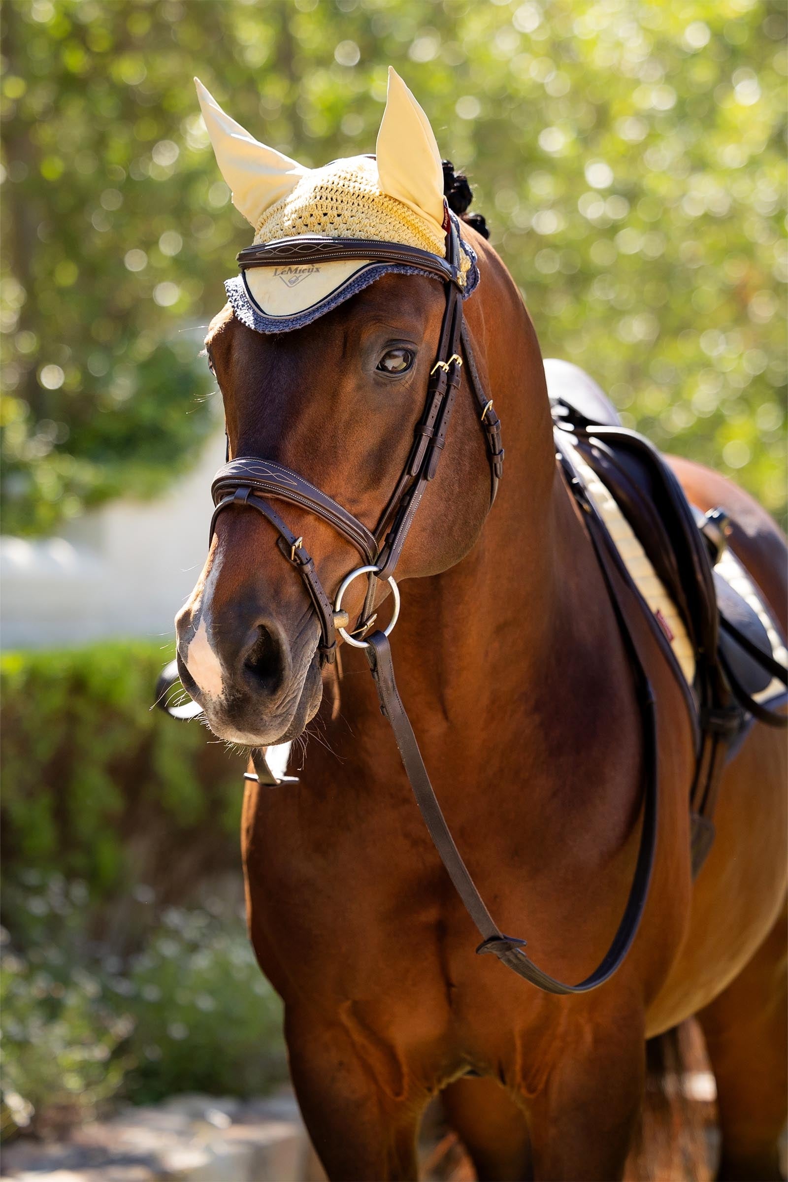 LeMieux Classic Fly Hood Antifly Protection for Horses