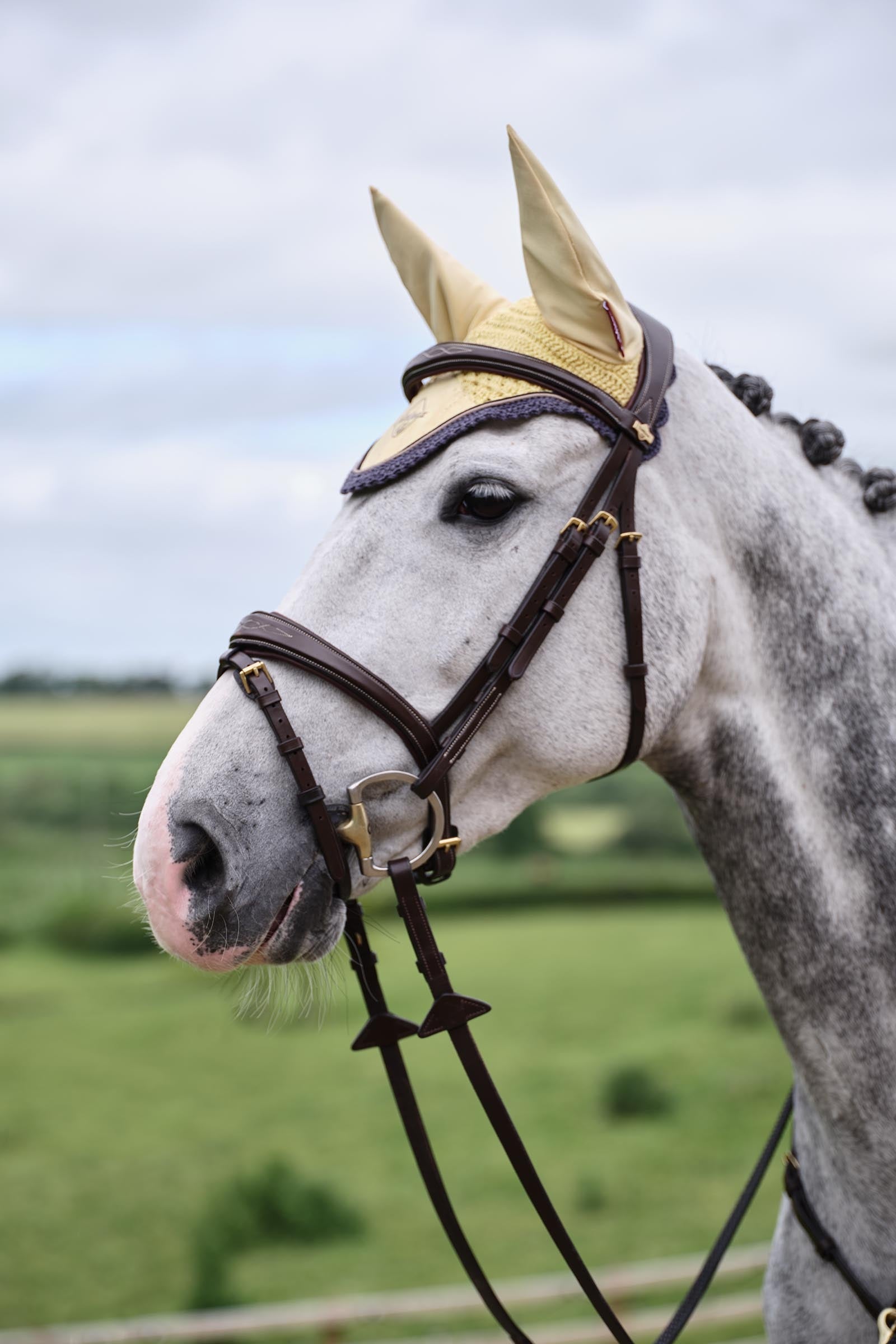 LeMieux Classic Fly Hood Antifly Protection for Horses