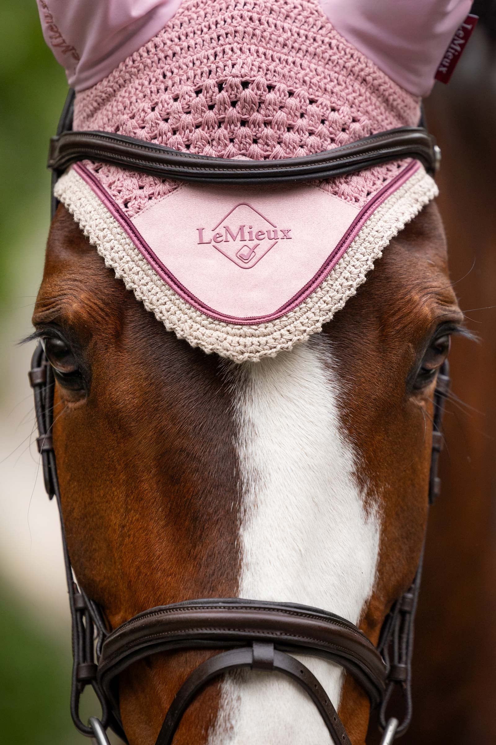 LeMieux Classic Fly Hood Antifly Protection for Horses