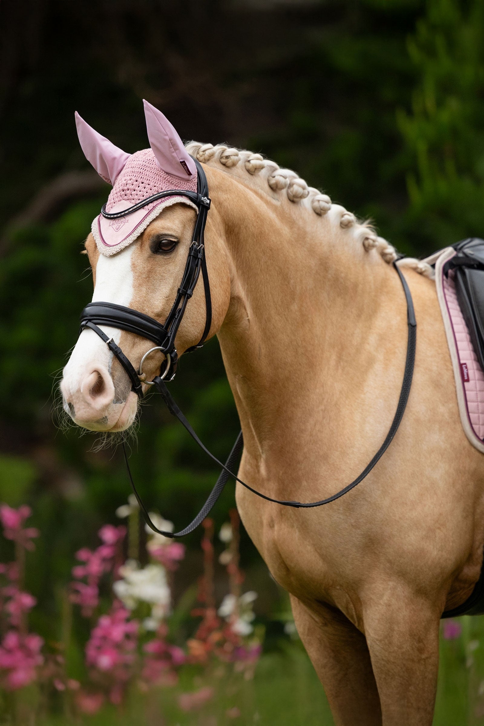 LeMieux Classic Fly Hood Antifly Protection for Horses