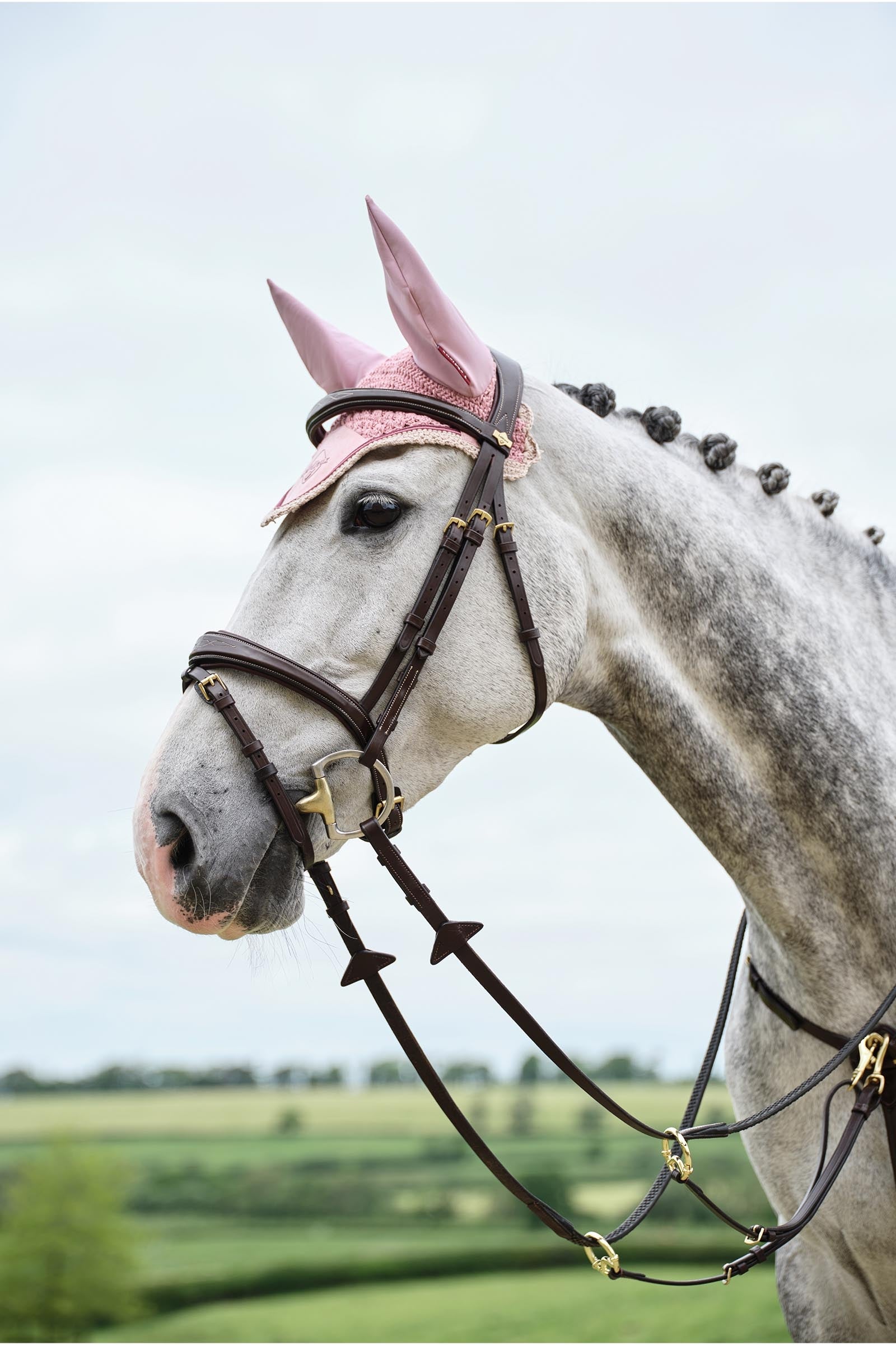 LeMieux Classic Fly Hood Antifly Protection for Horses