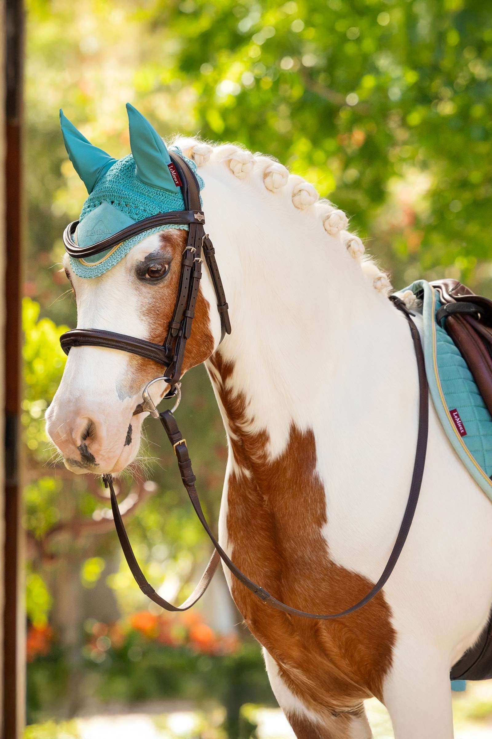 LeMieux Classic Fly Hood Antifly Protection for Horses