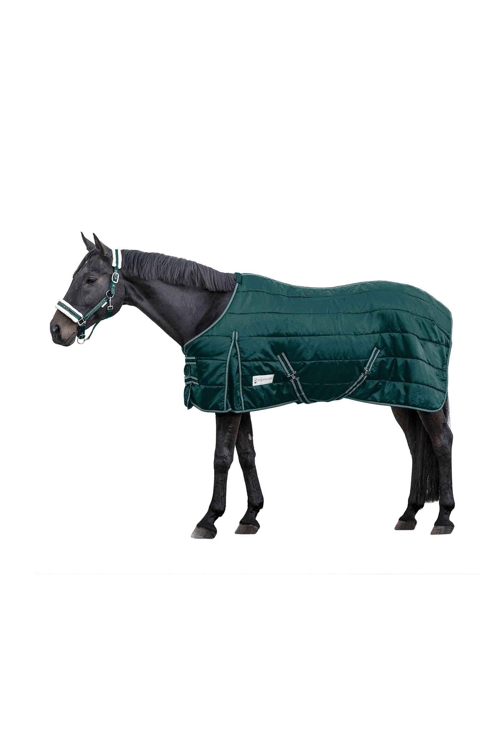Waldhausen Stable rug Economic 200 g Pferdedecken
