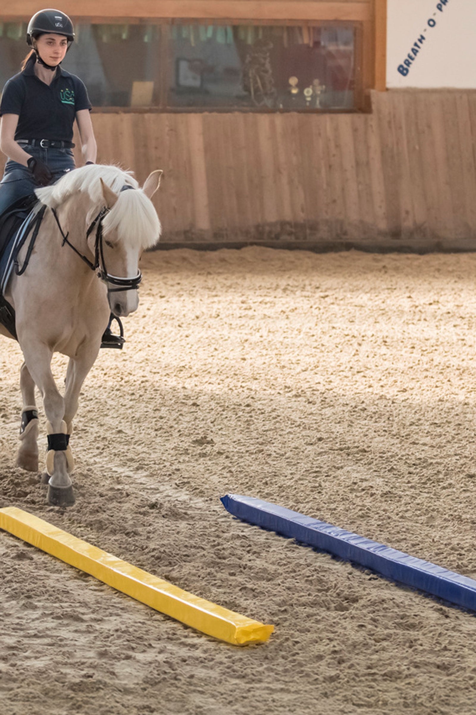 USG Soft Pole (3m) Horse Toys & Riding Arena Supplies