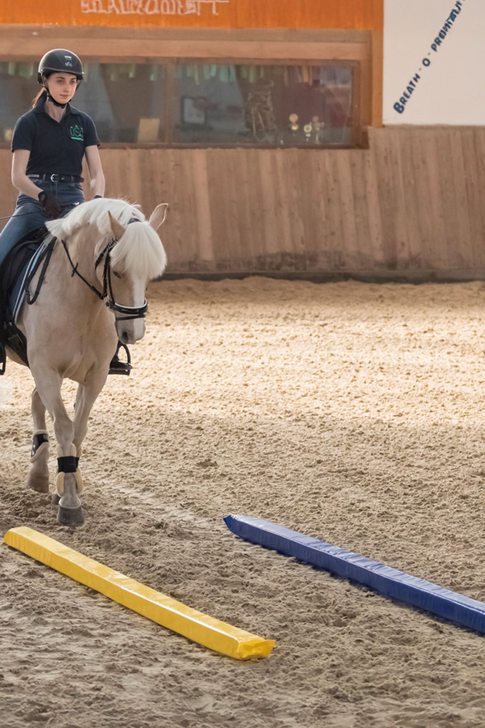 USG Soft Pole (3m) Horse Toys & Riding Arena Supplies