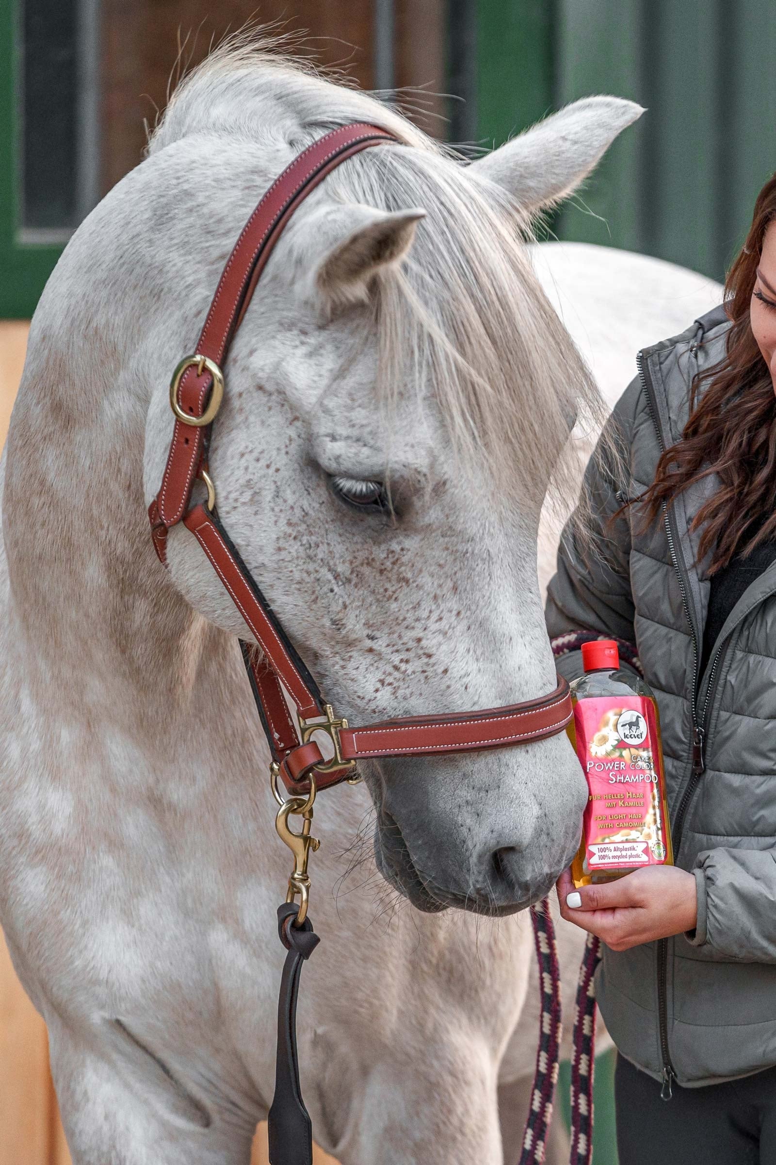 Leovet Power Shampoo Camomile For Ligth Hair Horse Health Care