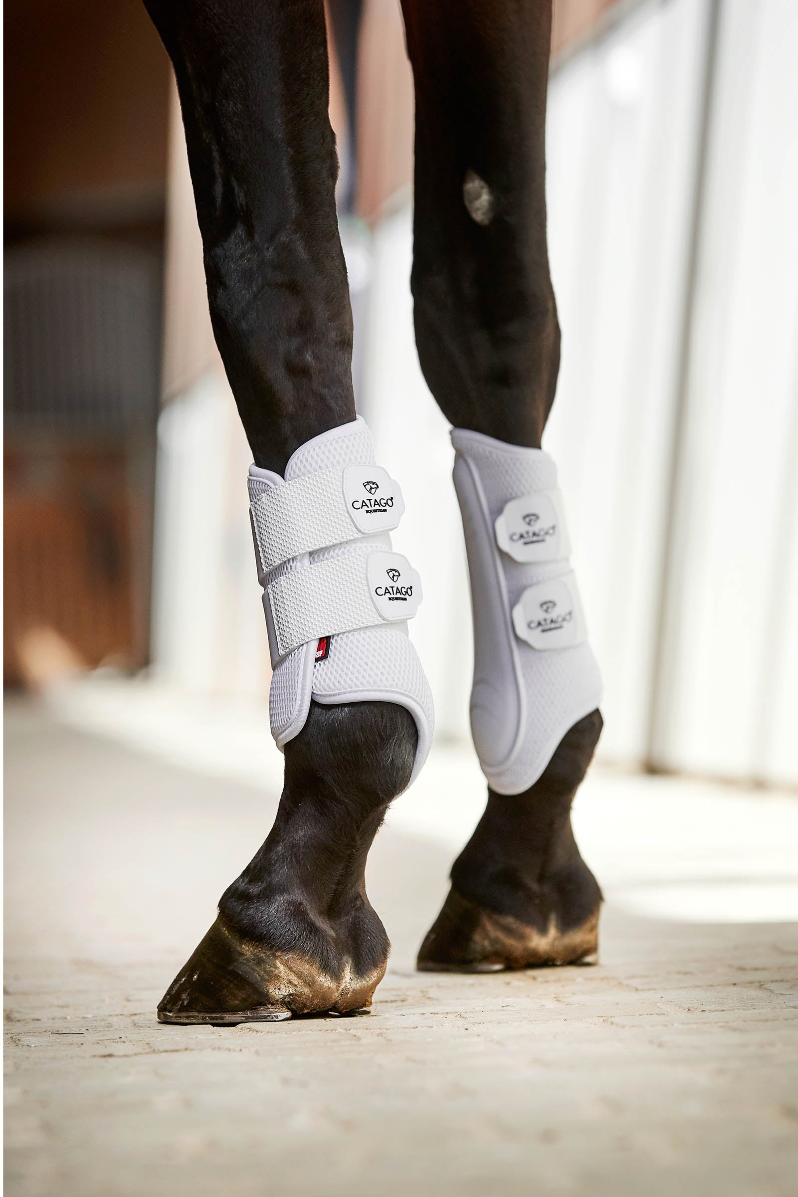 Catago Fir-Tech Training Boots Leg Protection & Hoof Protection for Horses