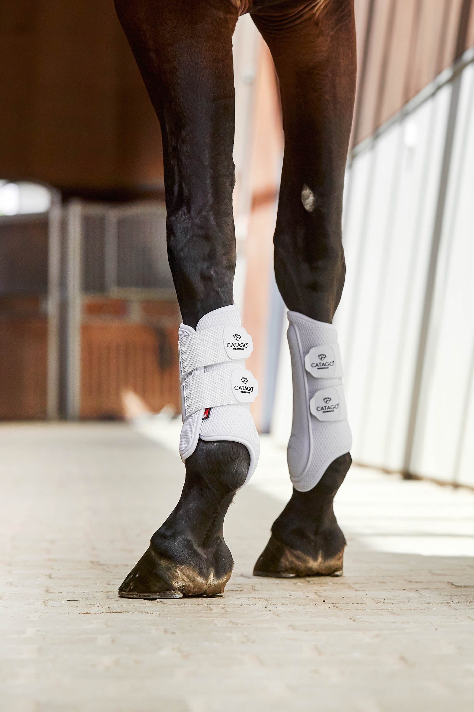 Catago Fir-Tech Training Boots Leg Protection & Hoof Protection for Horses