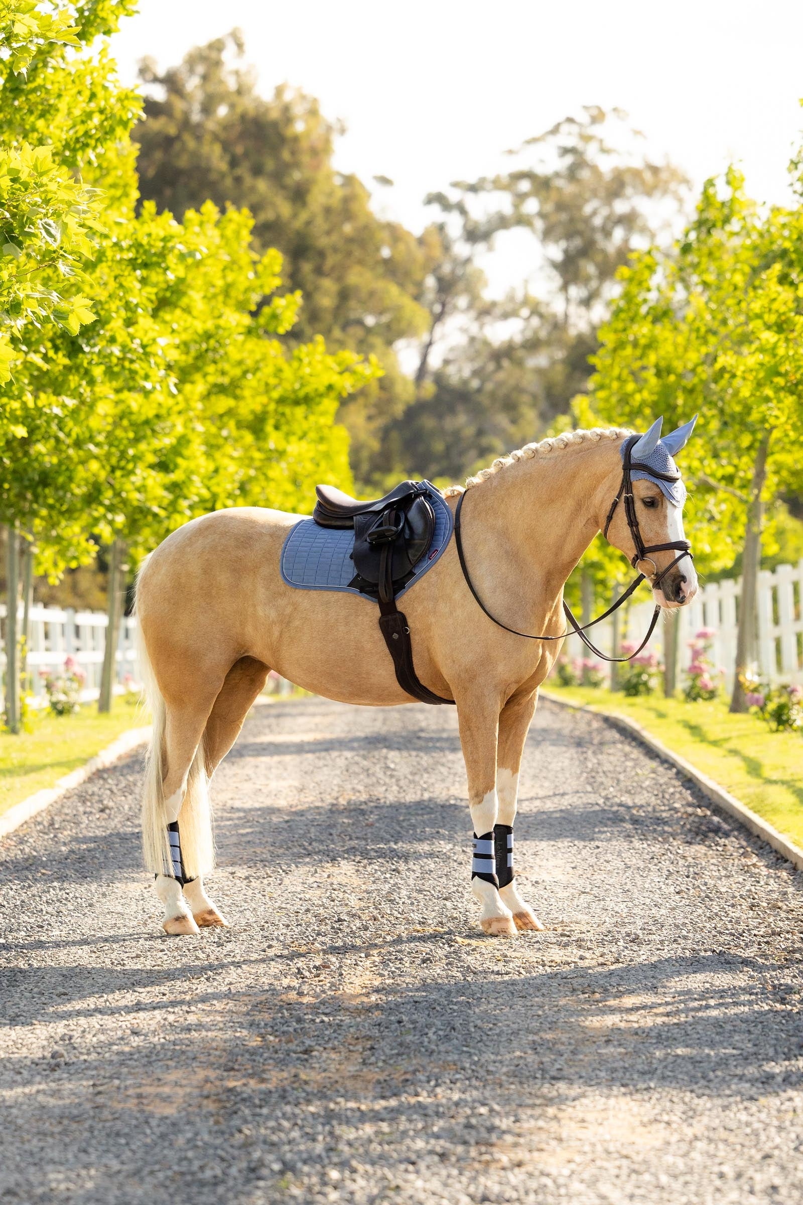 LeMieux Lemieux Suede Close Contact Square Saddle Pad Saddle Pads