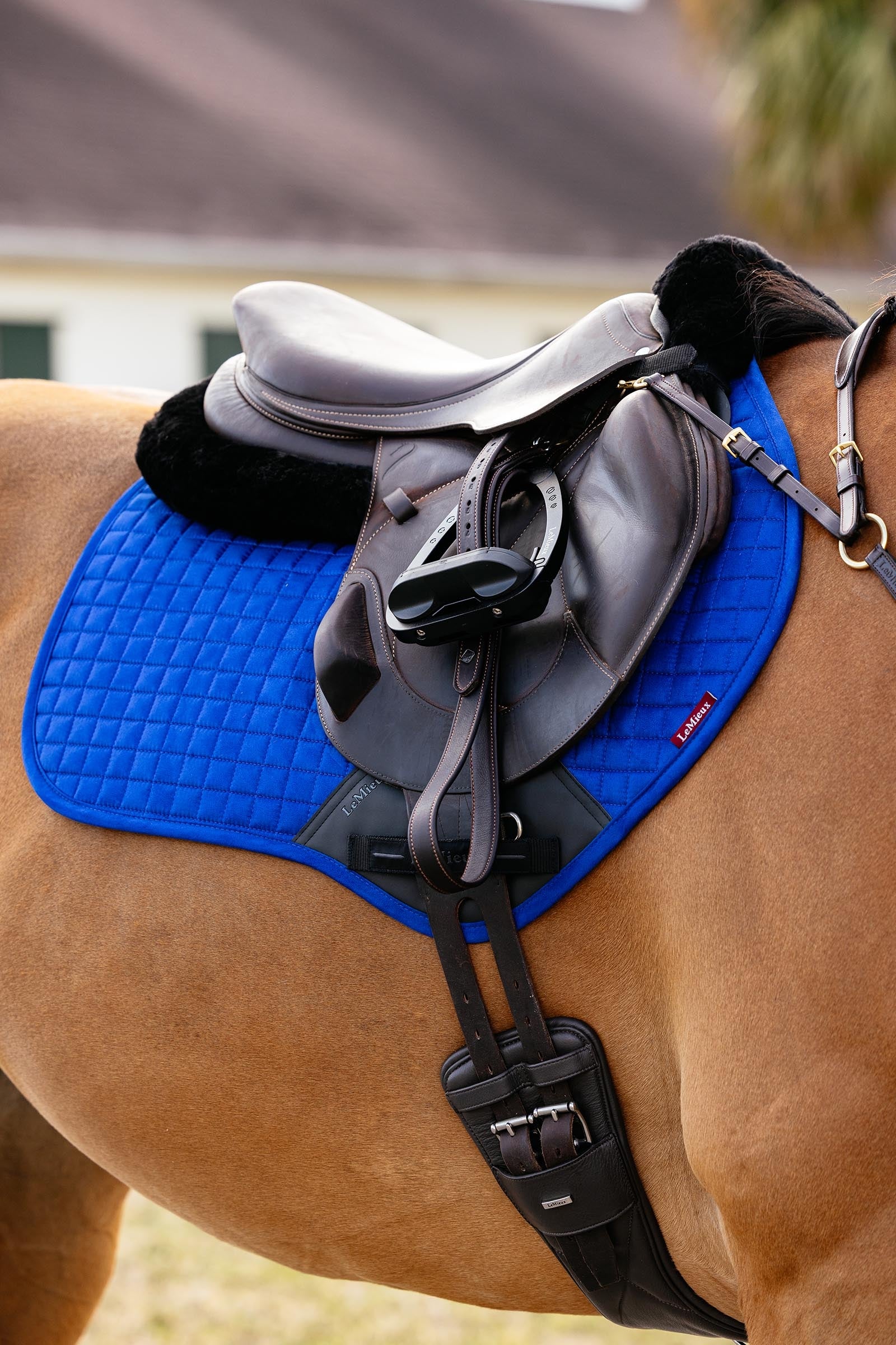 LeMieux Lemieux Suede Close Contact Square Saddle Pad Saddle Pads