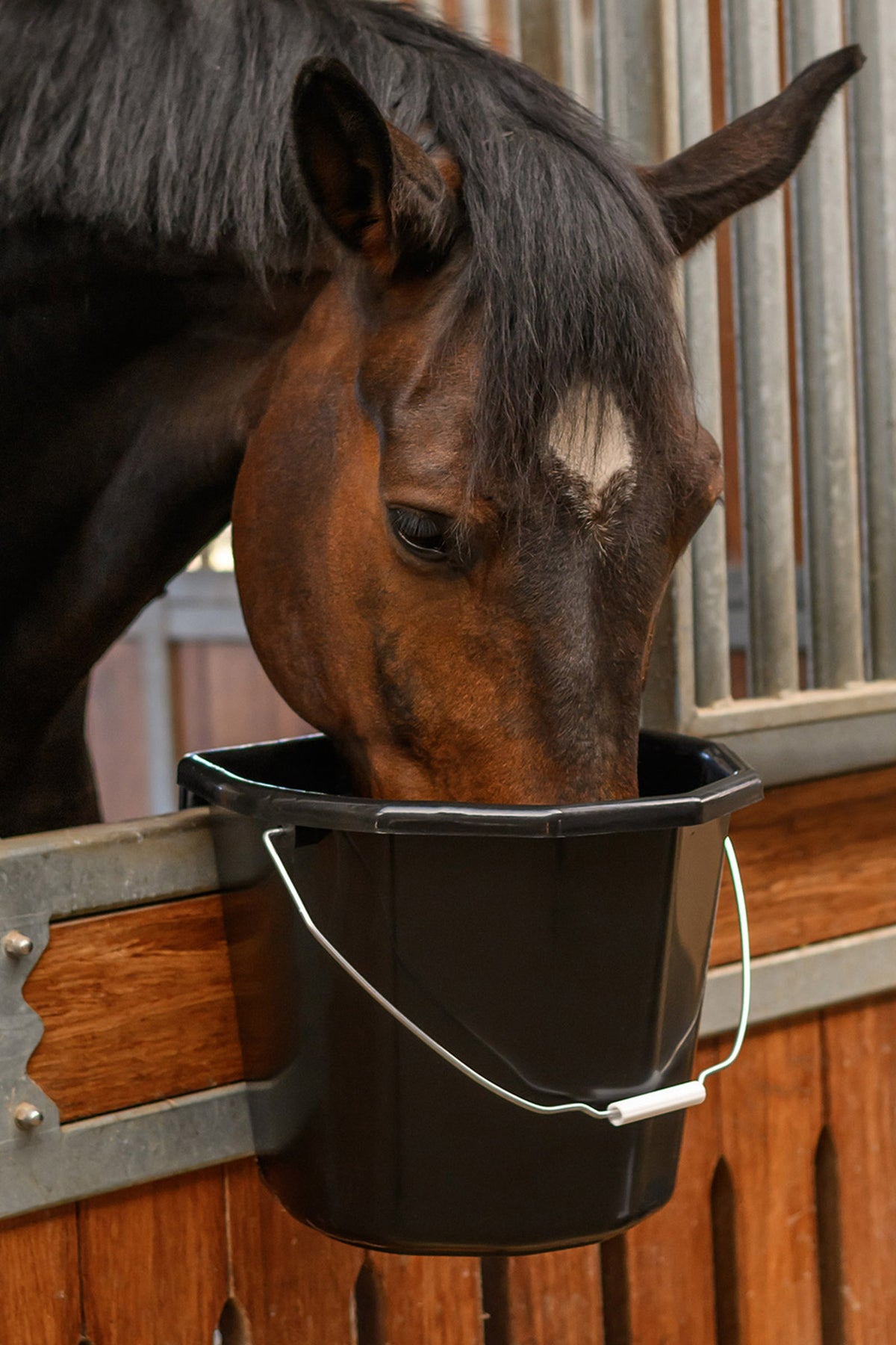 Waldhausen Multi-Purpose Bucket, 20 L Horse Feeders & Waterers