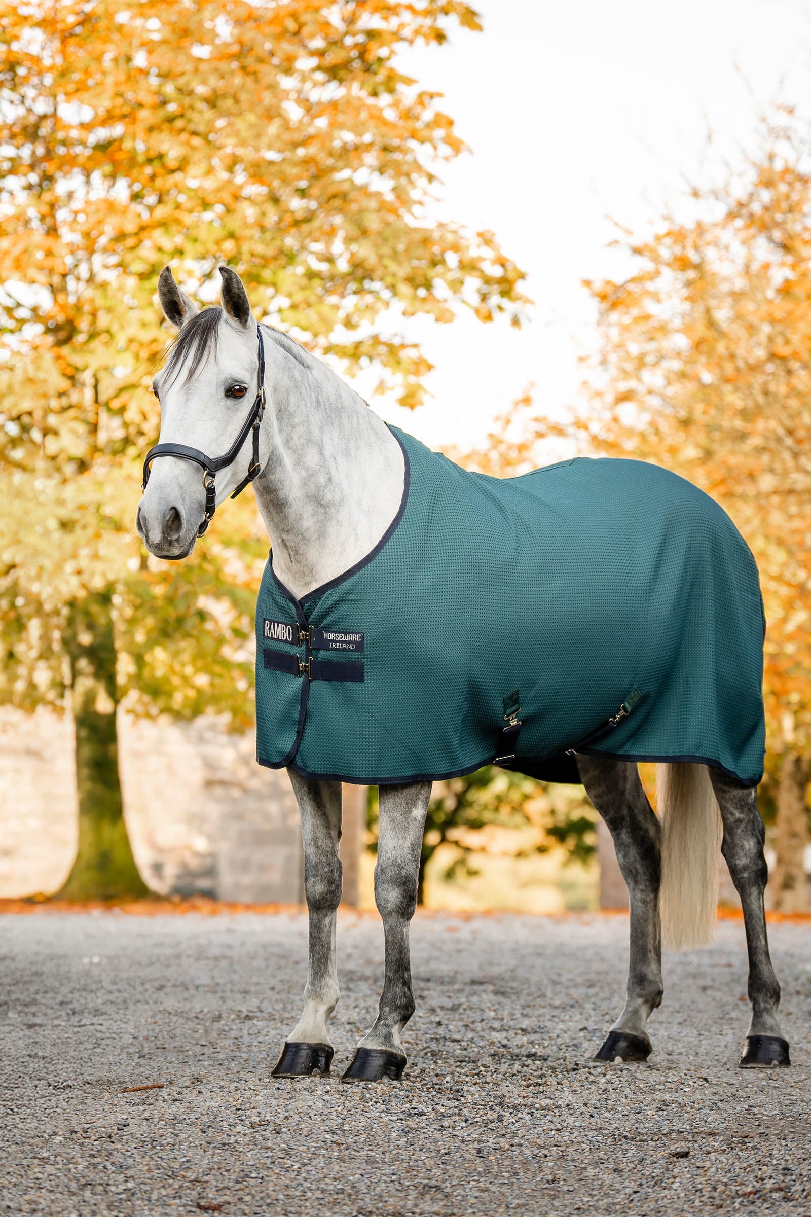Horseware Rambo Techni Waffle chemise séchante Pferdedecken