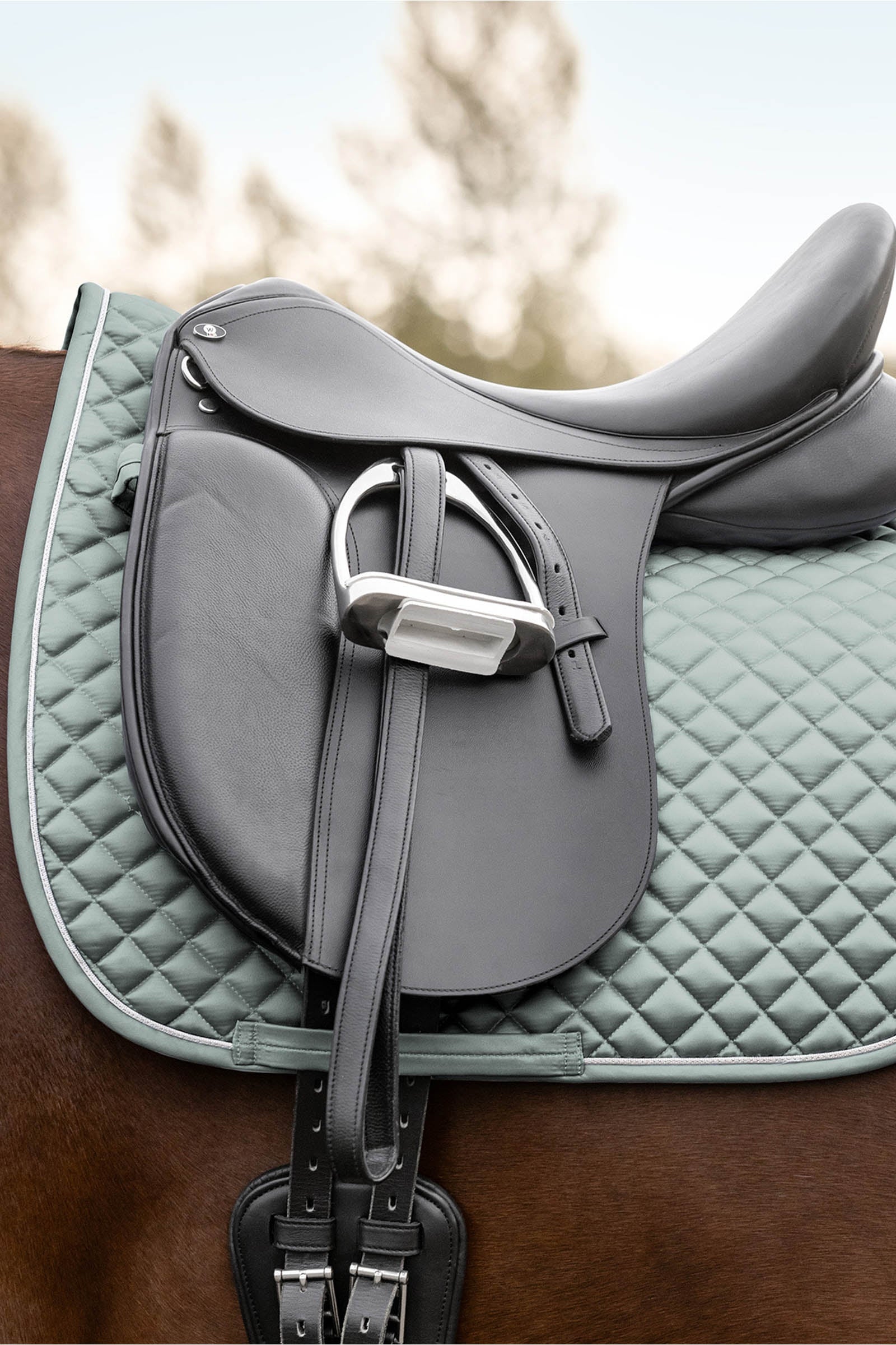 Waldhausen Felix Glam Dressage Saddle Pad Schabracken