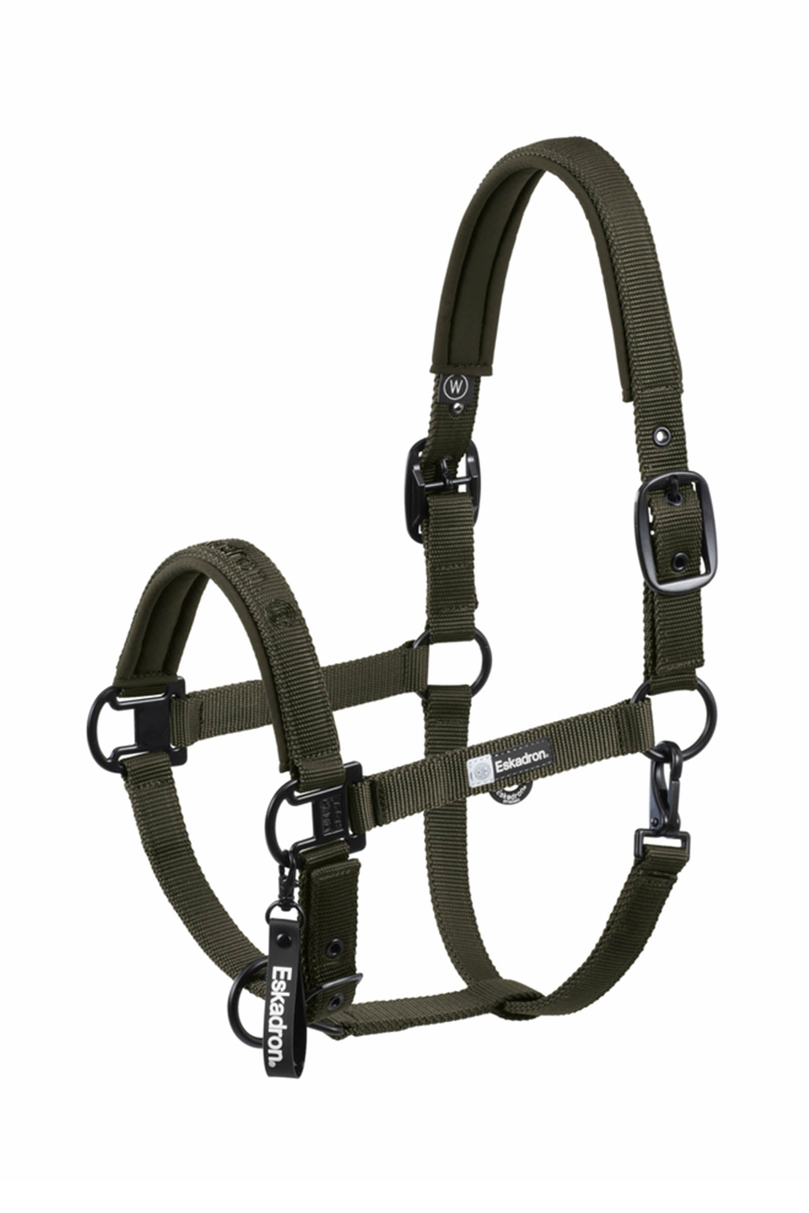 Eskadron Dynamics AW25 Halfter mit Dornschnalle doppelt Halfter & Stricke