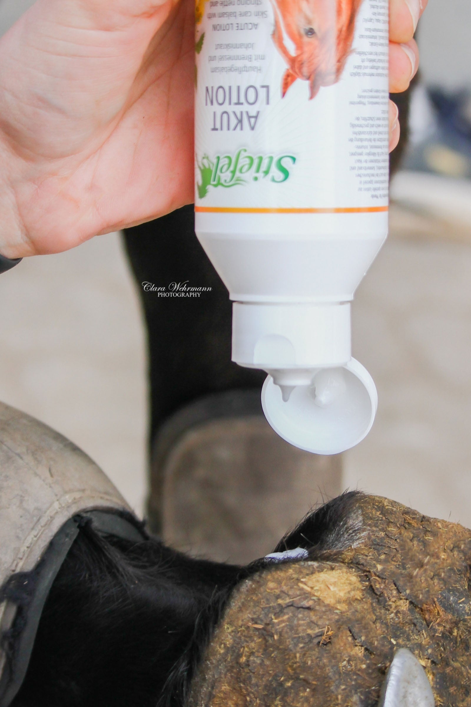 Stiefel Acute Lotion Horse Health Care