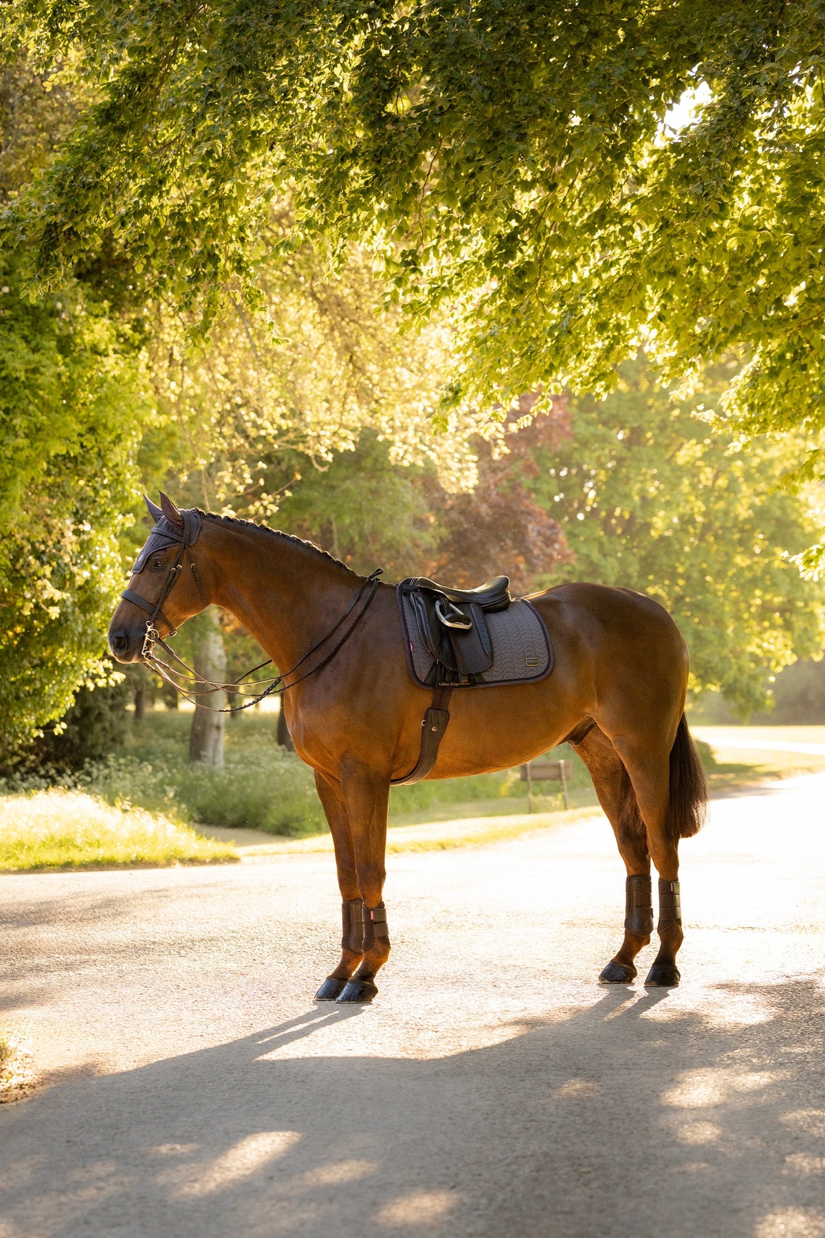 LeMieux Heritage Herringbone Dressage Square Saddle Pad Saddle Pads