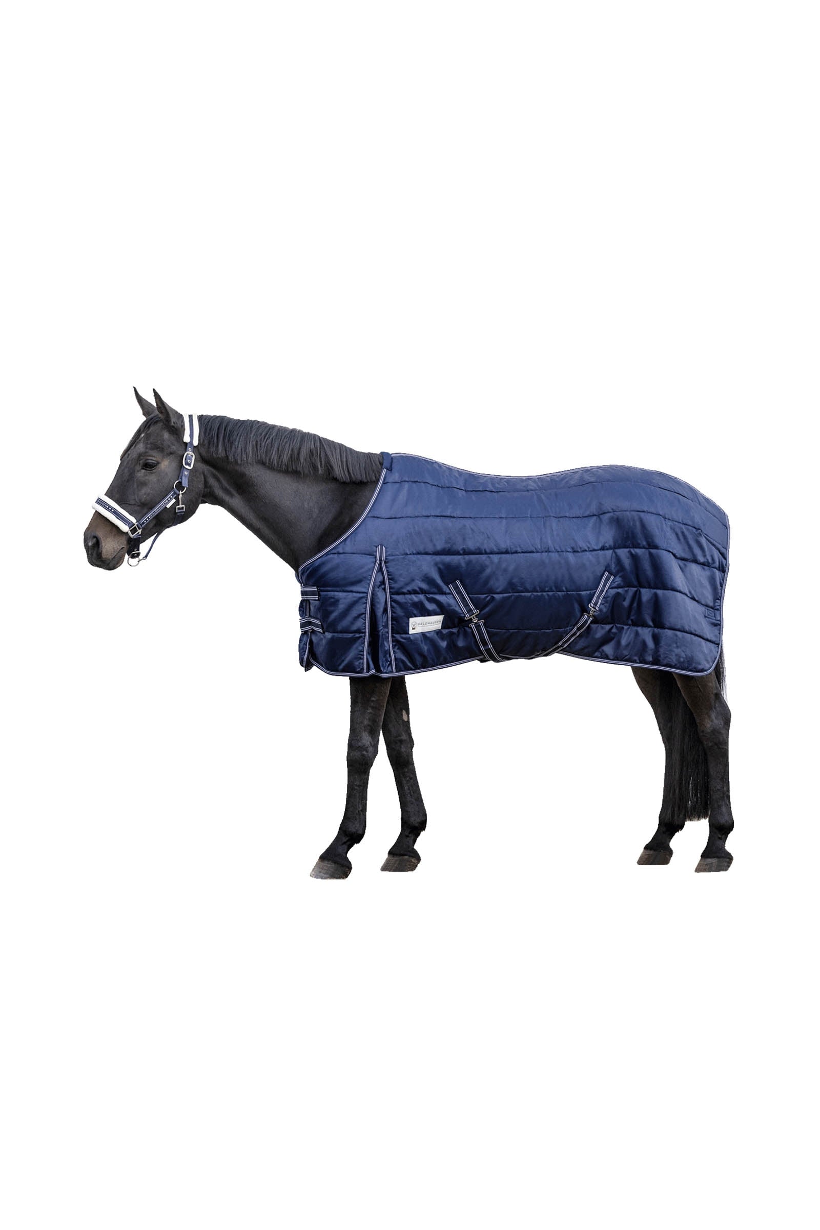 Waldhausen Stable Rug Economic 100 g Pferdedecken