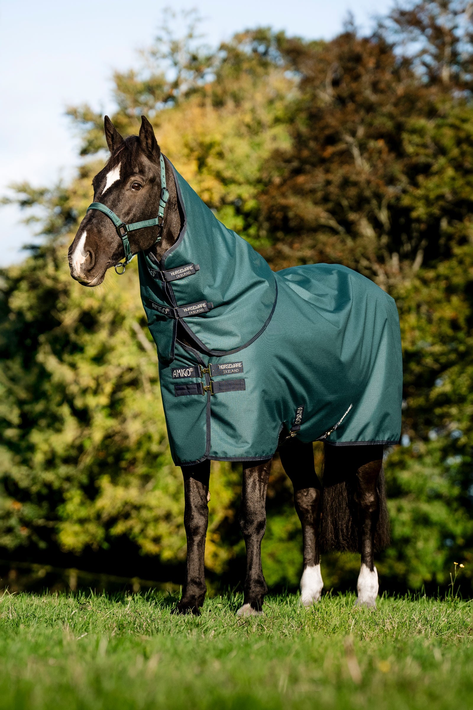 Horseware Amigo Ripstop 900D Plus Outdoordecke für Ponys, 50 g Pferdedecken
