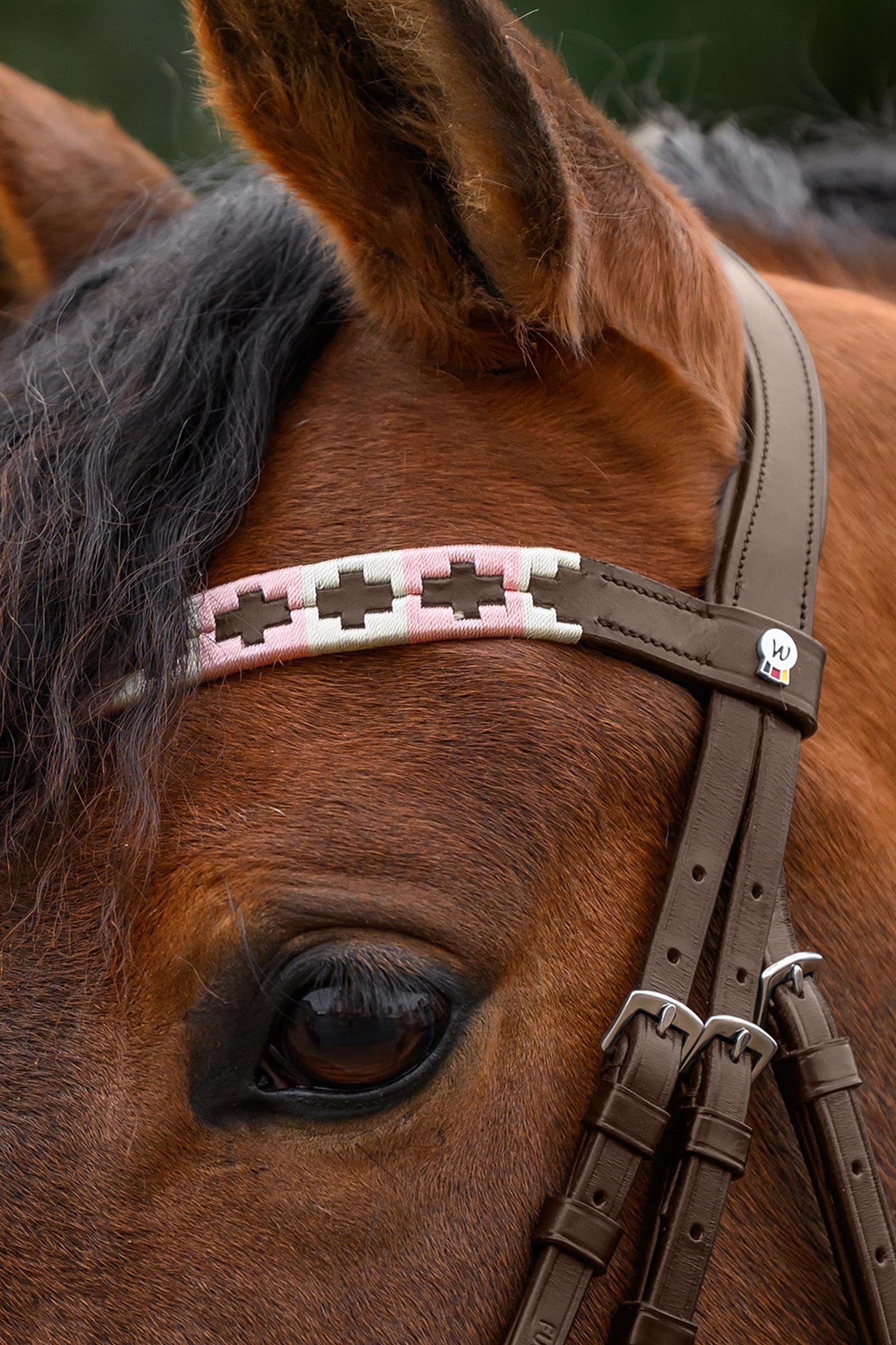 Waldhausen X-Line Polo Browband Bridles & Reins