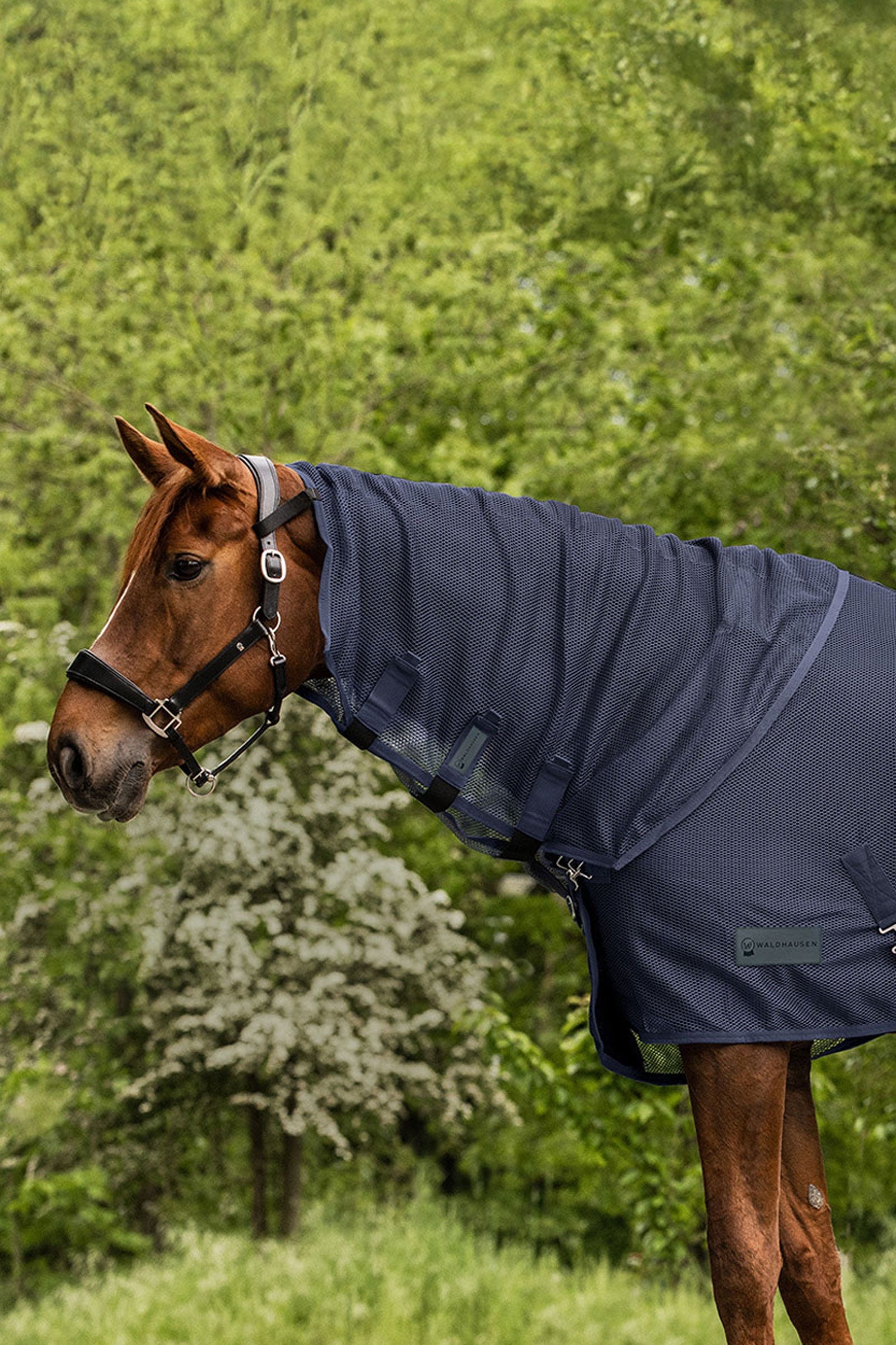 Waldhausen Comfort Fliegenhalsteil Pferdedecken