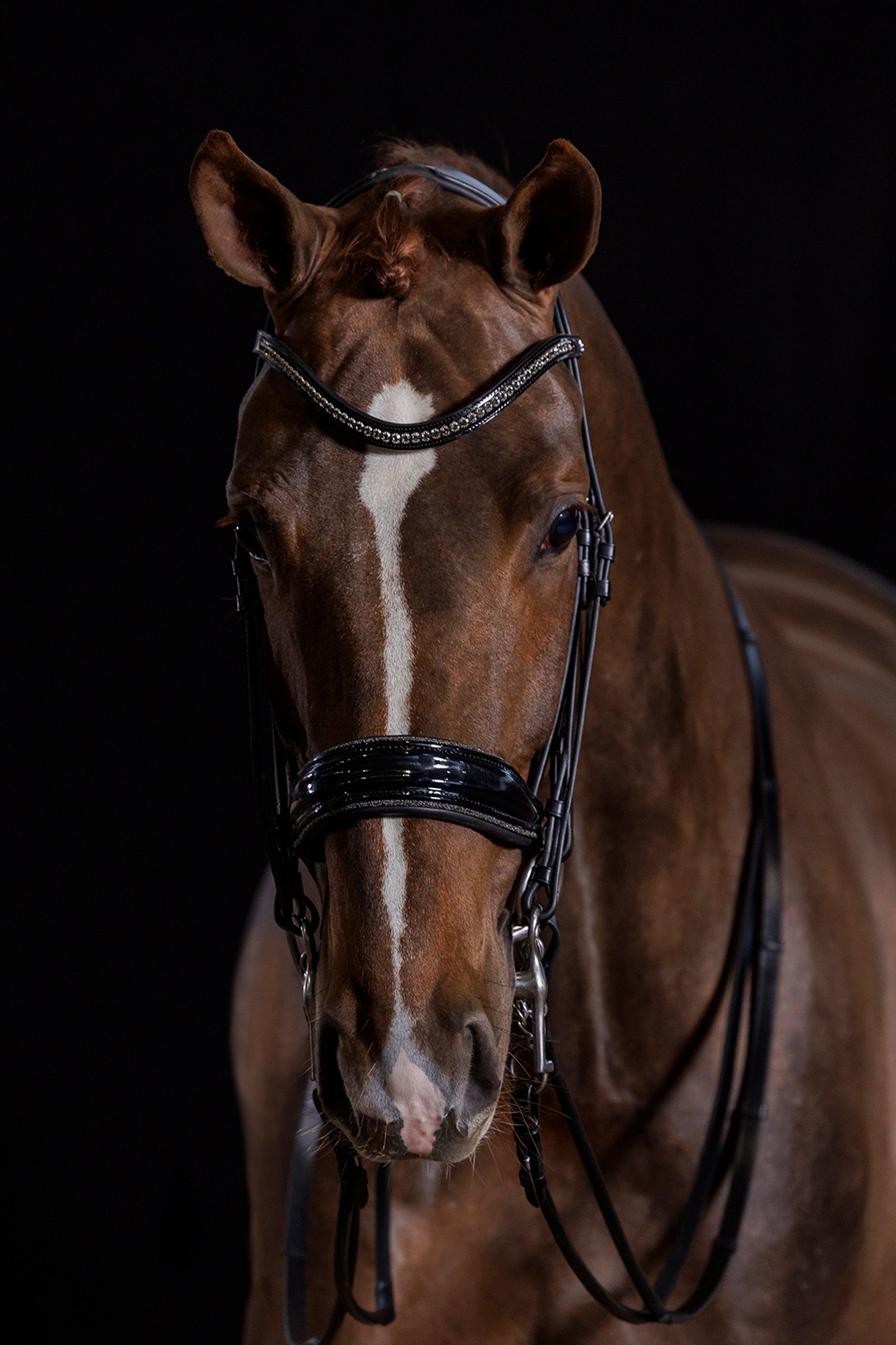 Schockemöhle Sports Milan Glam Double Bridle Bridles & Reins